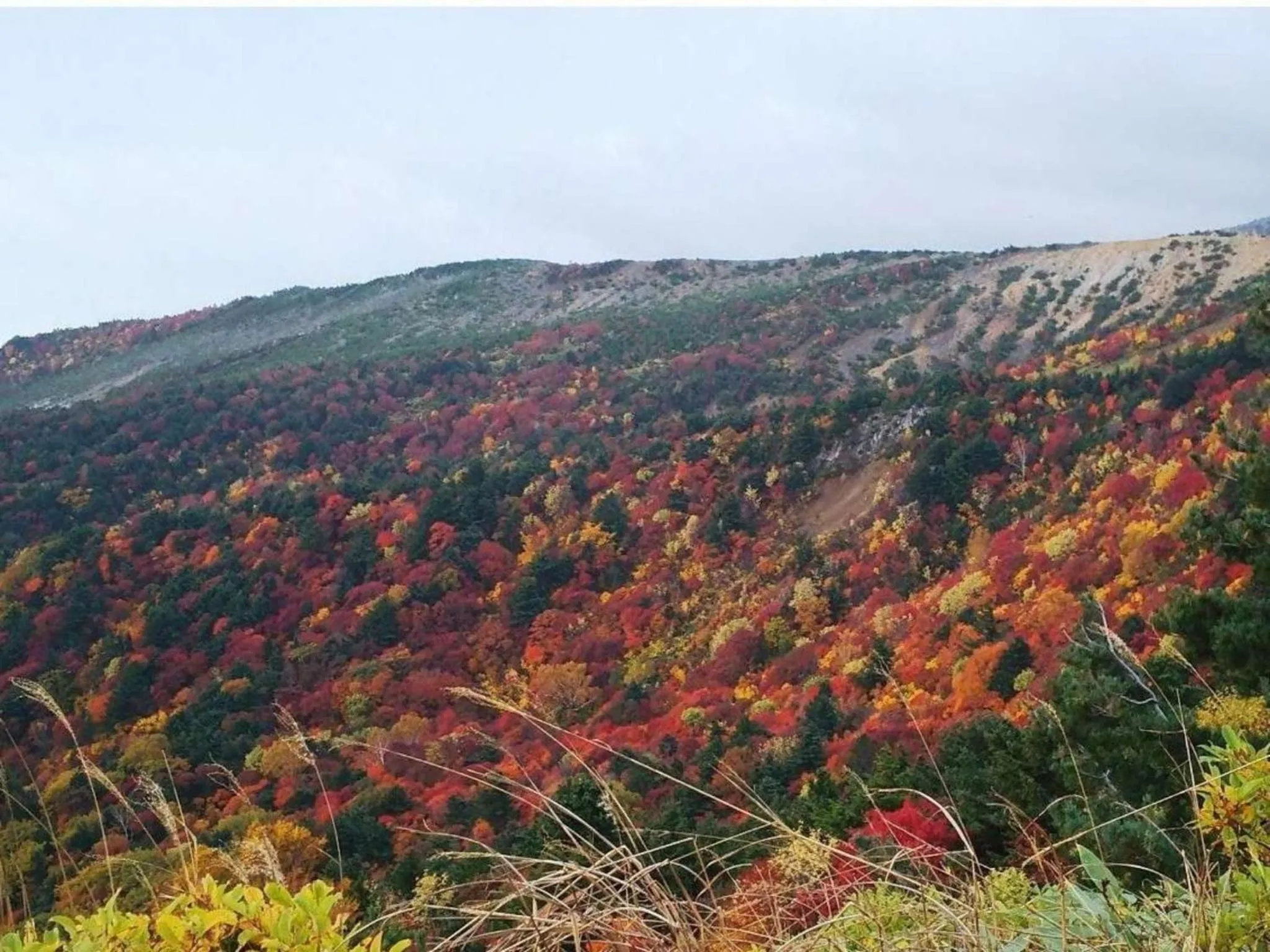 Nearby landmark in Harumiya Ryokan