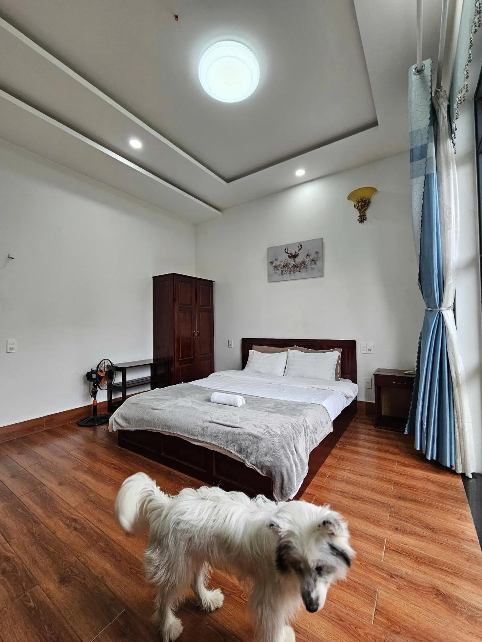 Bed in Lana Home ĐàLạt