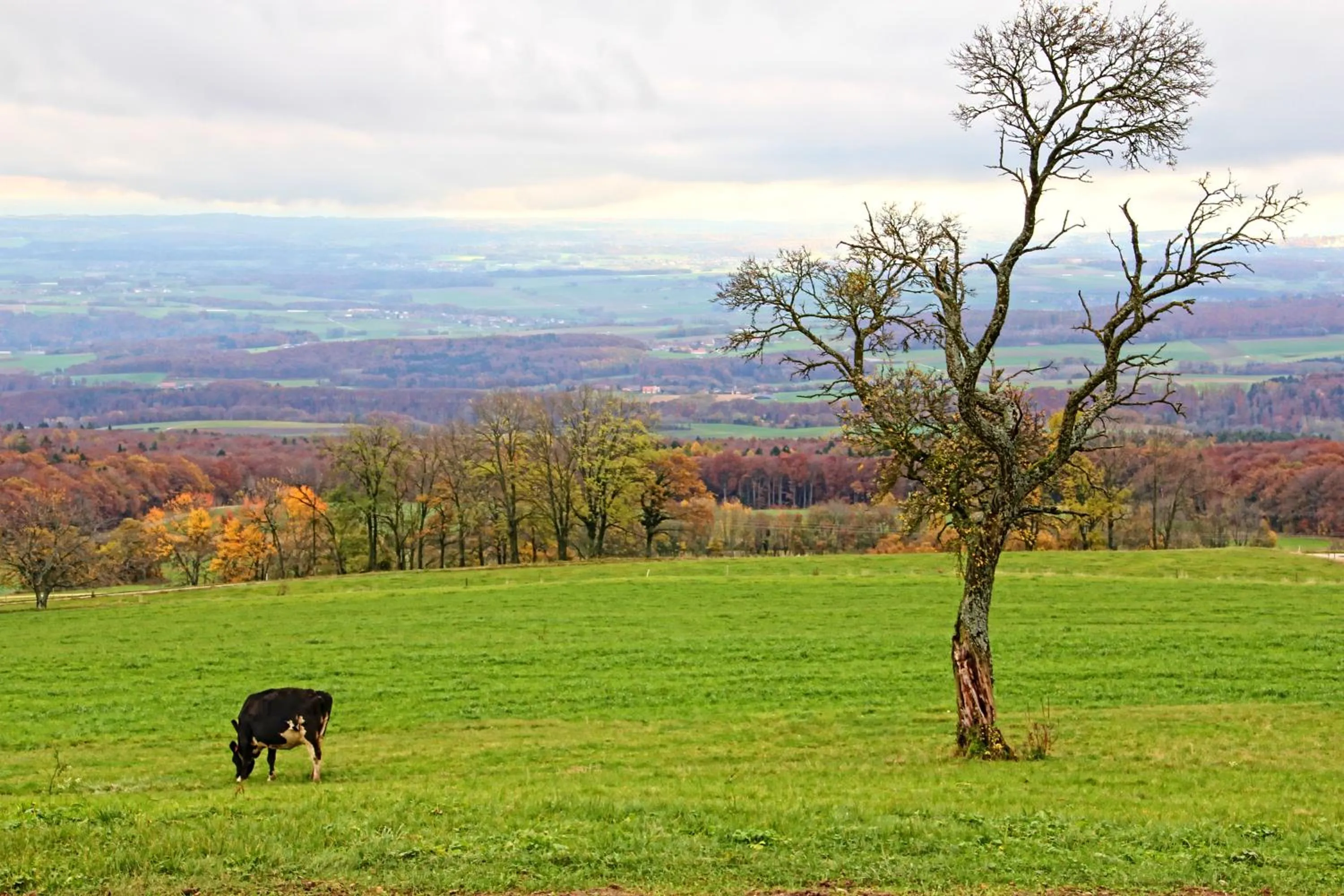 View (from property/room) in La Ferme de la Praz - Rooms with a View