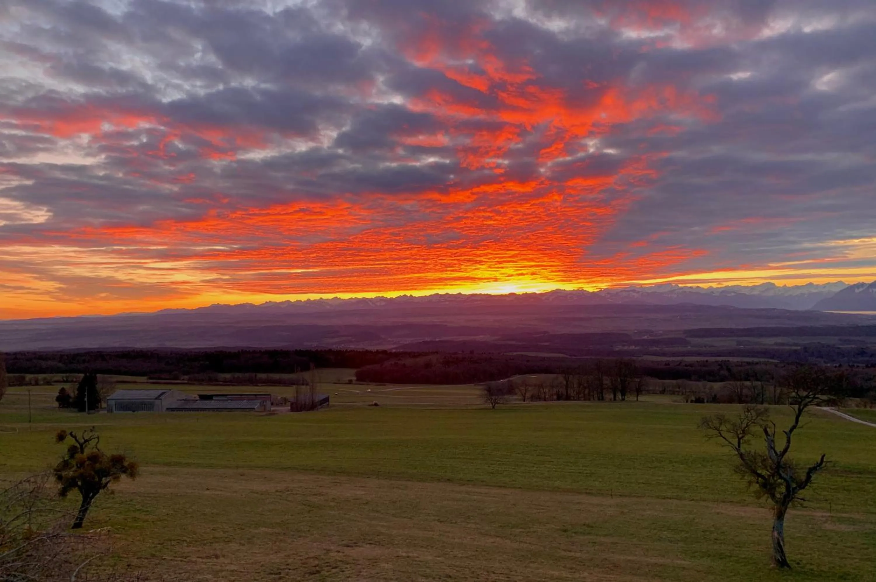View (from property/room) in La Ferme de la Praz - Rooms with a View