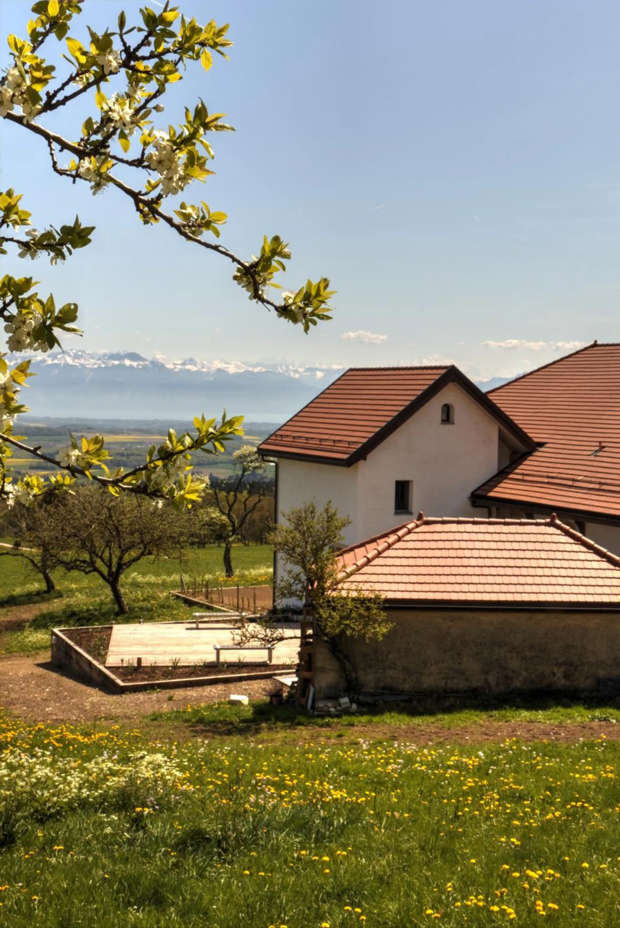 Facade/entrance in La Ferme de la Praz - Rooms with a View