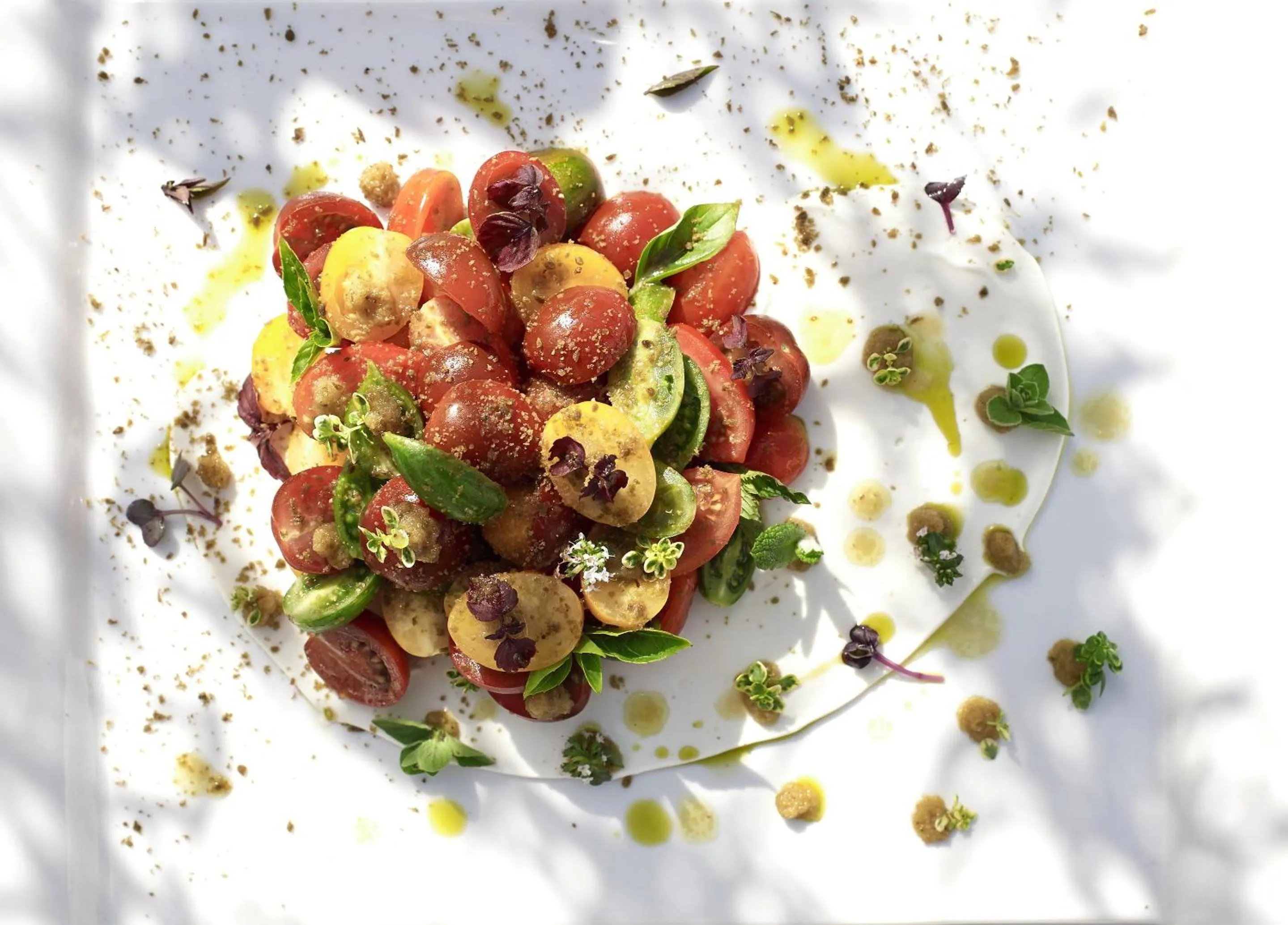 Restaurant/places to eat in Sani Club