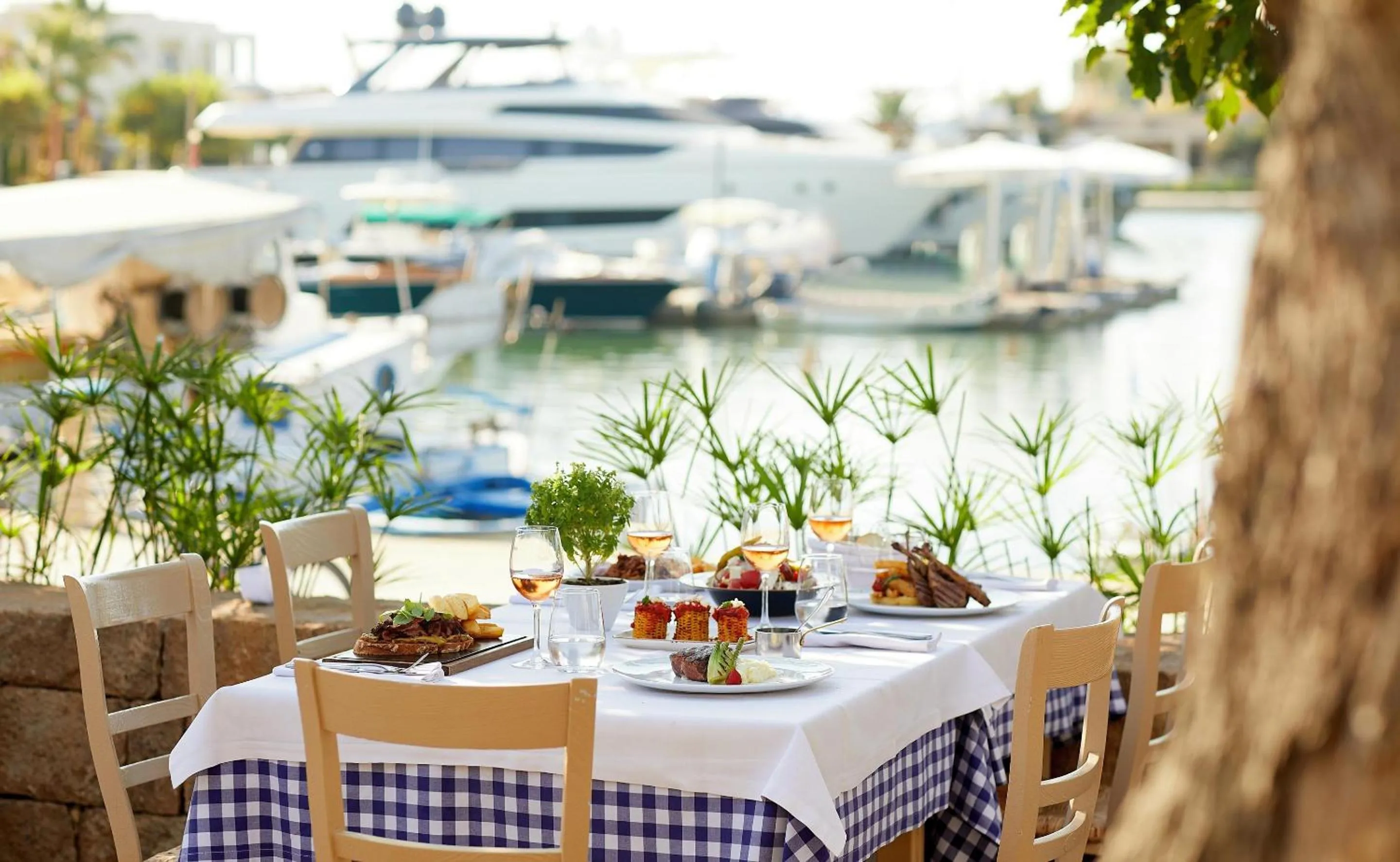 Restaurant/places to eat in Sani Club