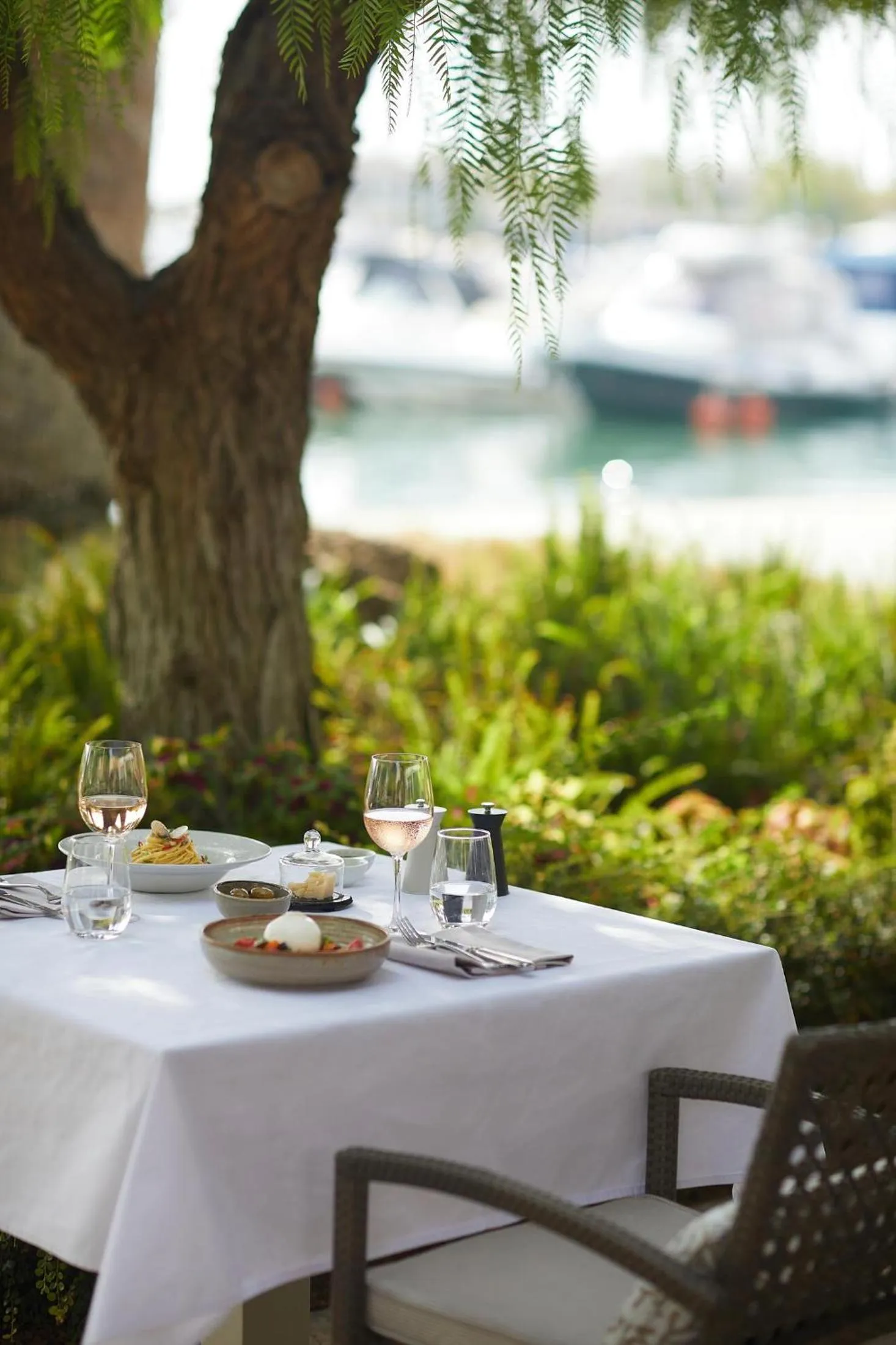 Restaurant/places to eat in Sani Club