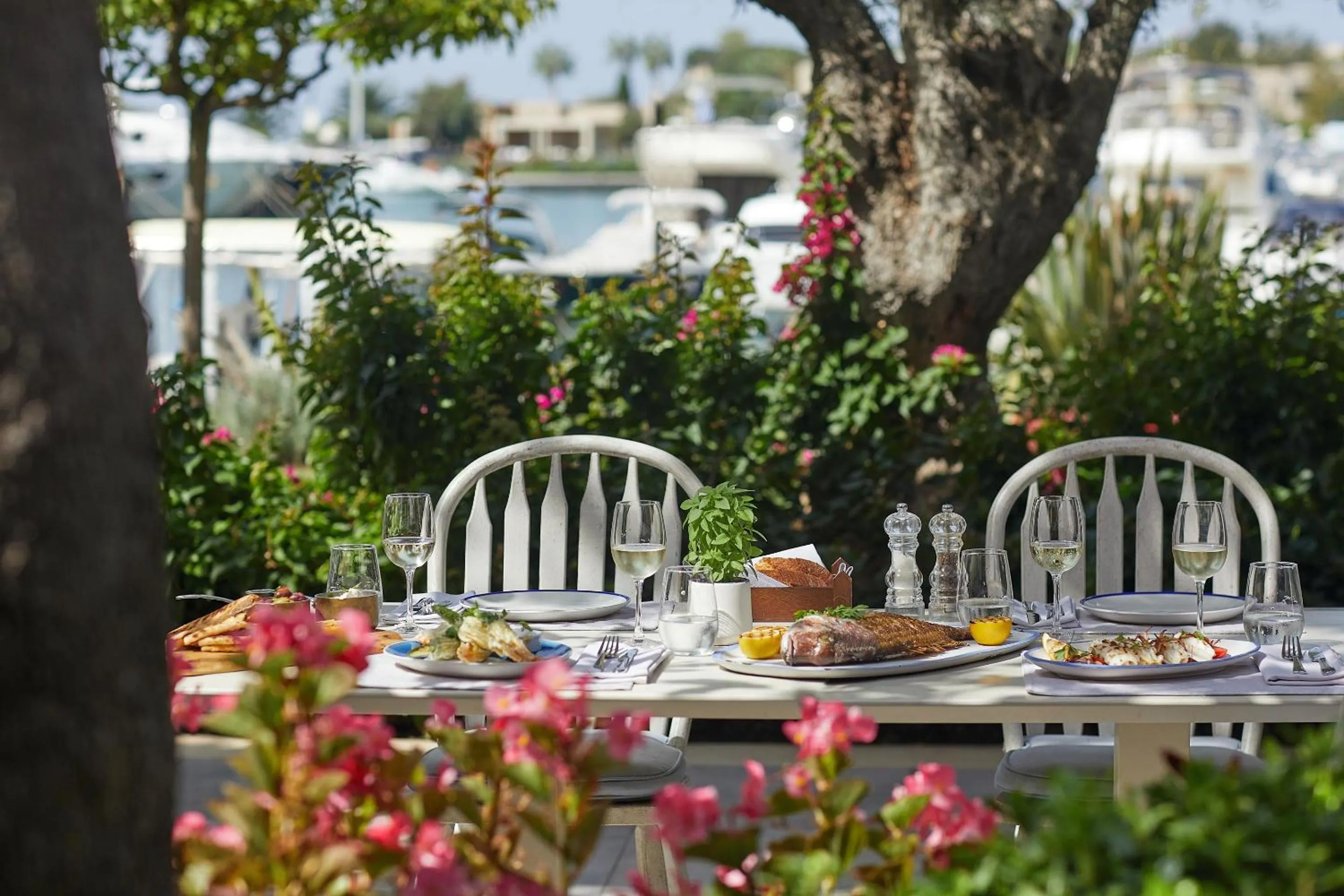 Restaurant/places to eat in Sani Club