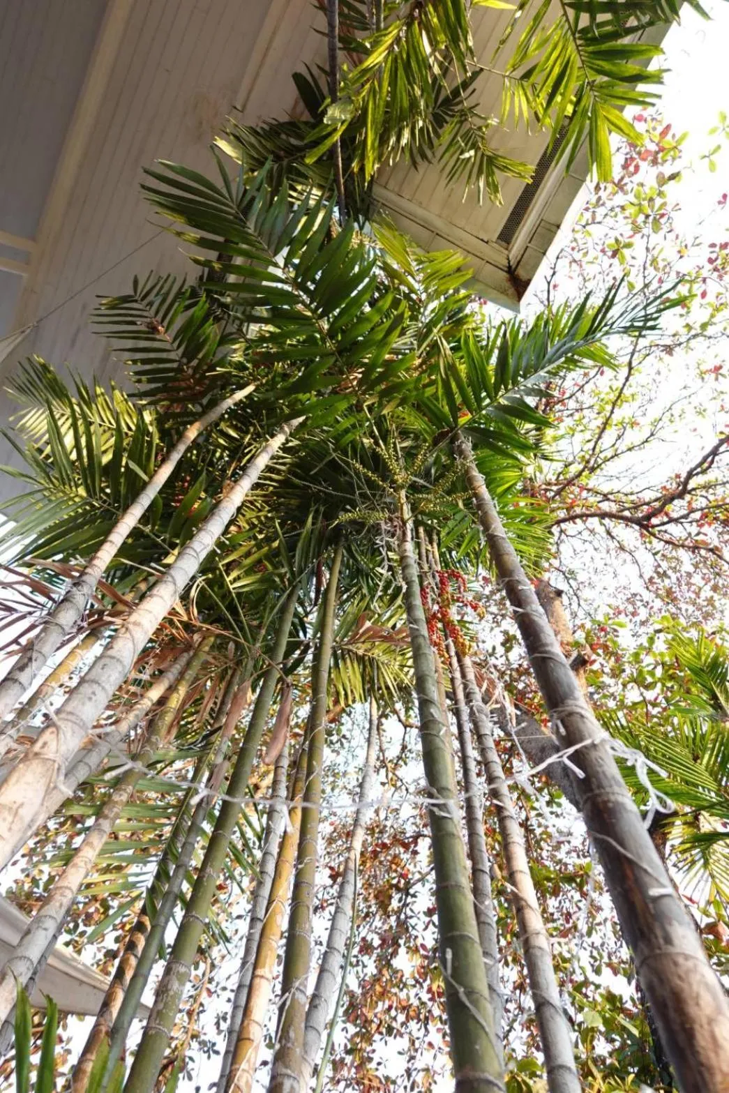 Day in To The Moon Guesthouse