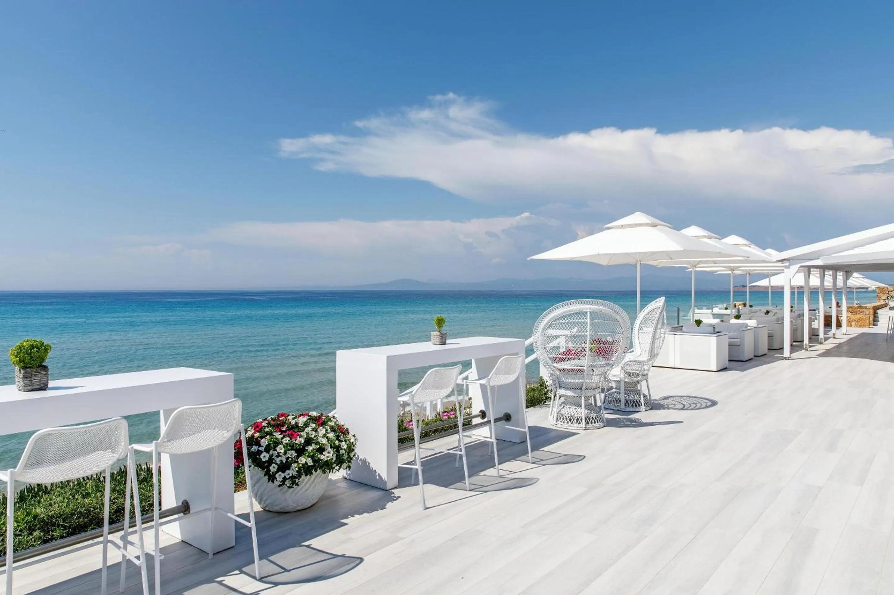 Lounge or bar in Sani Beach