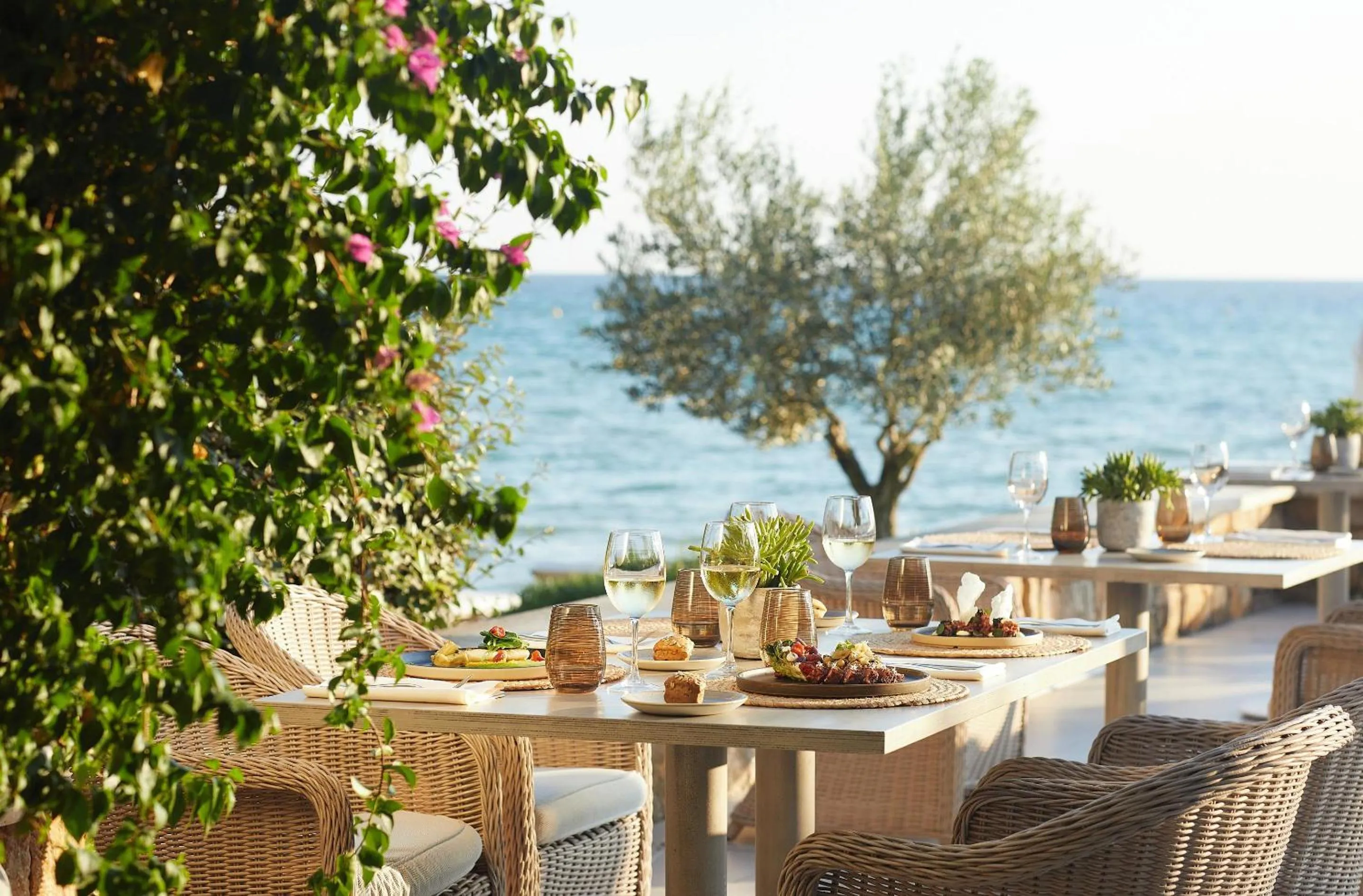 Restaurant/places to eat in Sani Beach