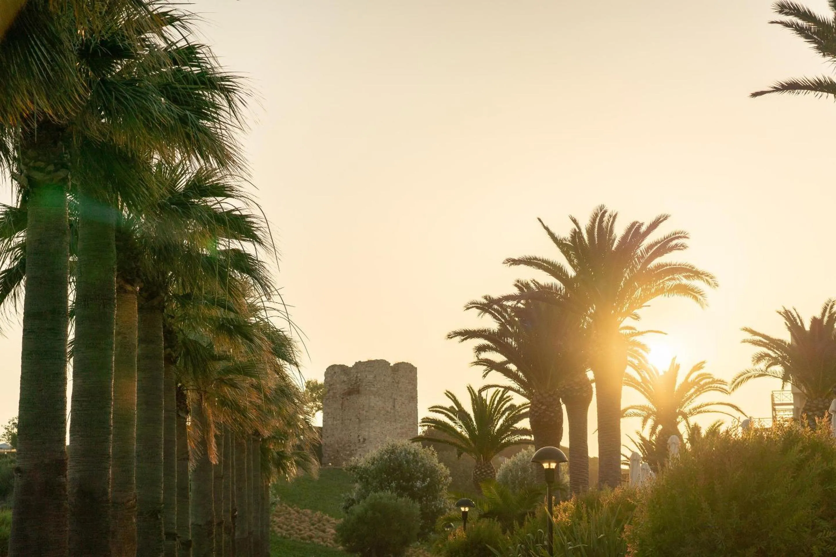 Garden in Sani Beach