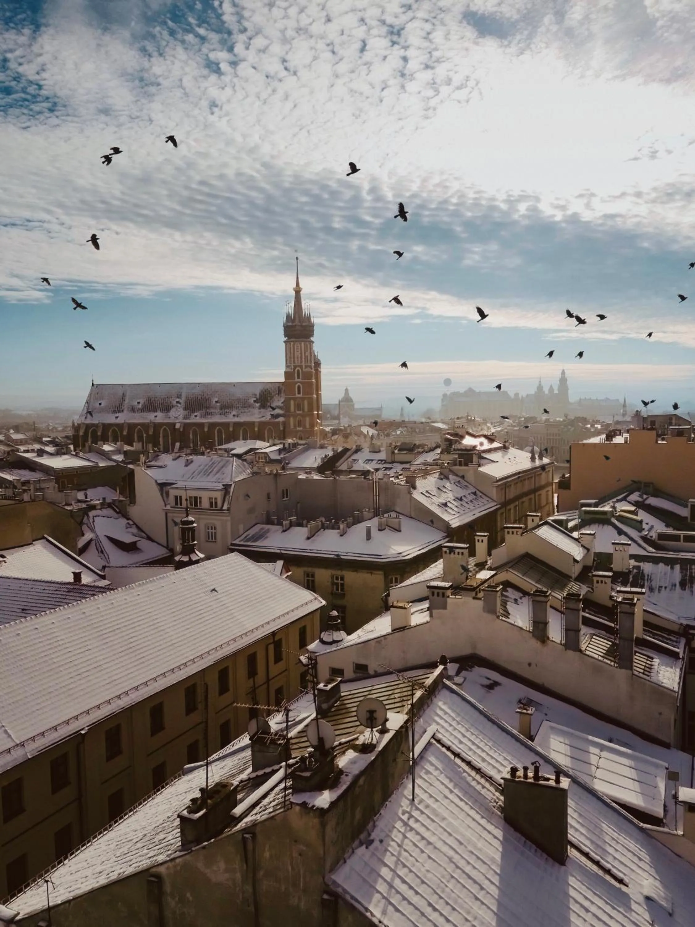 Off site in Too-Good Apartments