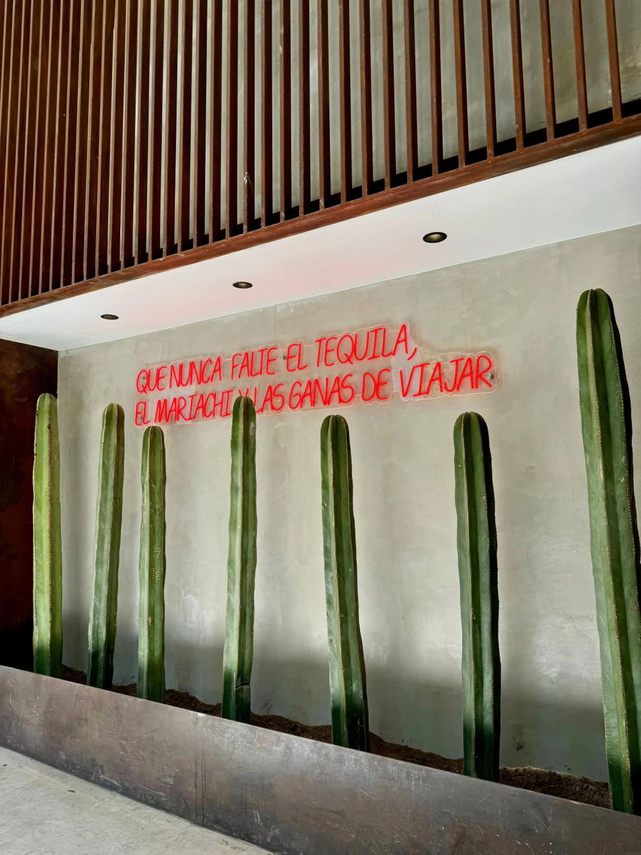 Property logo or sign in Hotel Aló Degollado