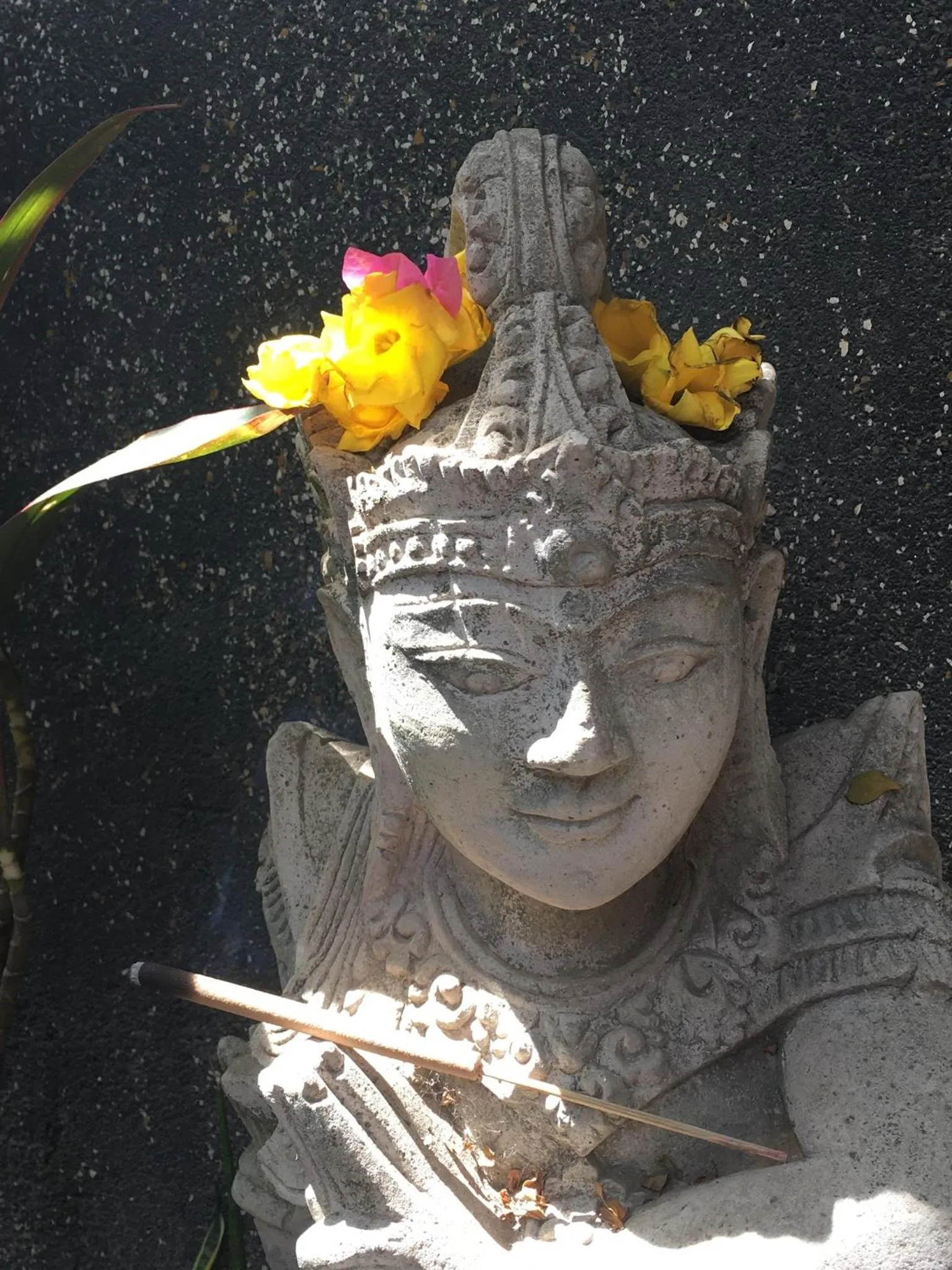 Garden in Gili Nyepi