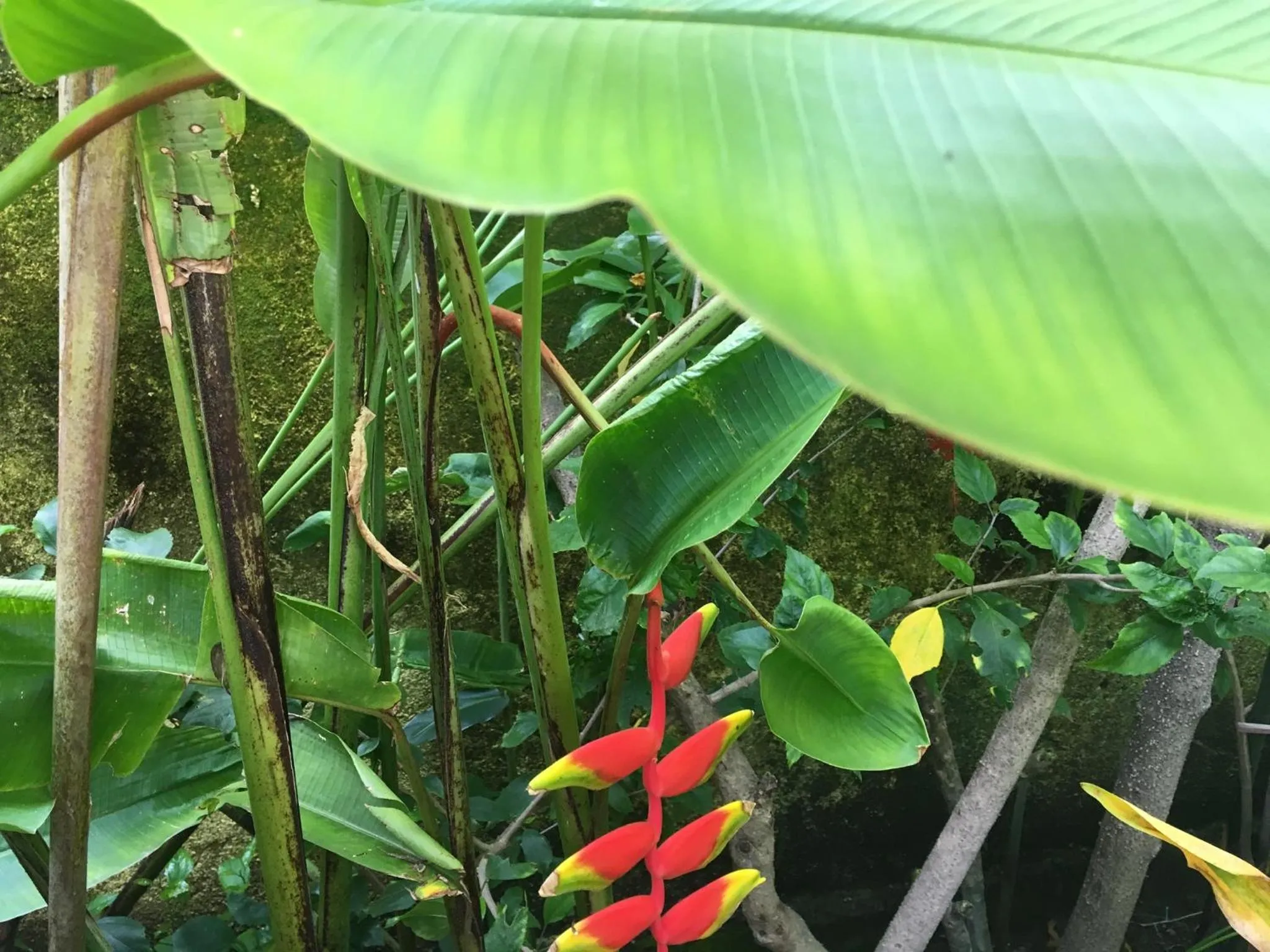 Natural landscape in Gili Nyepi