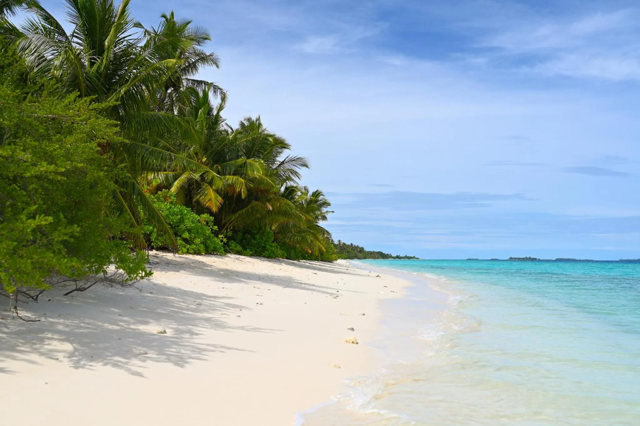 Beach in Boutique Beach All Inclusive Diving Hotel