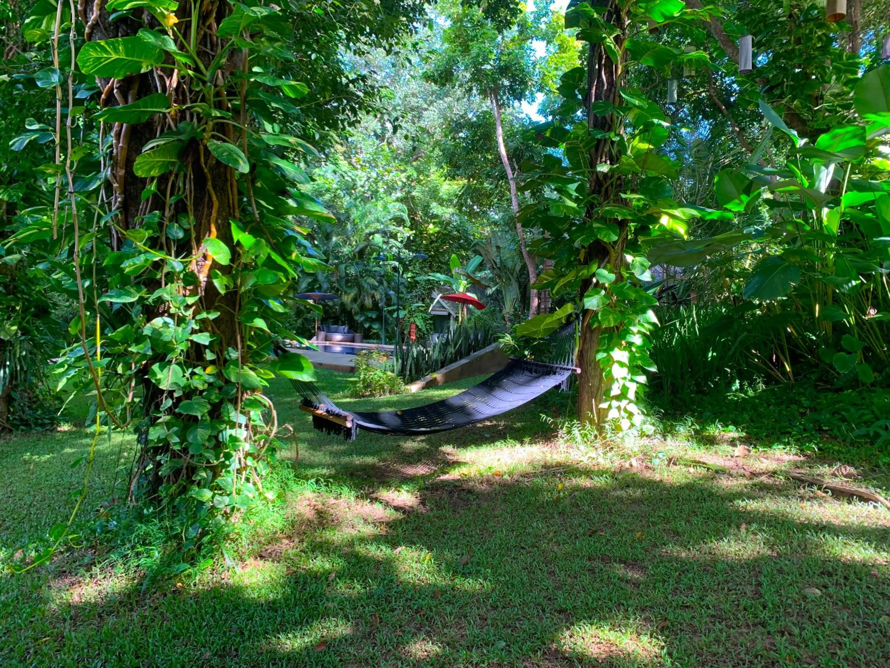 Garden in Monoceros Resort