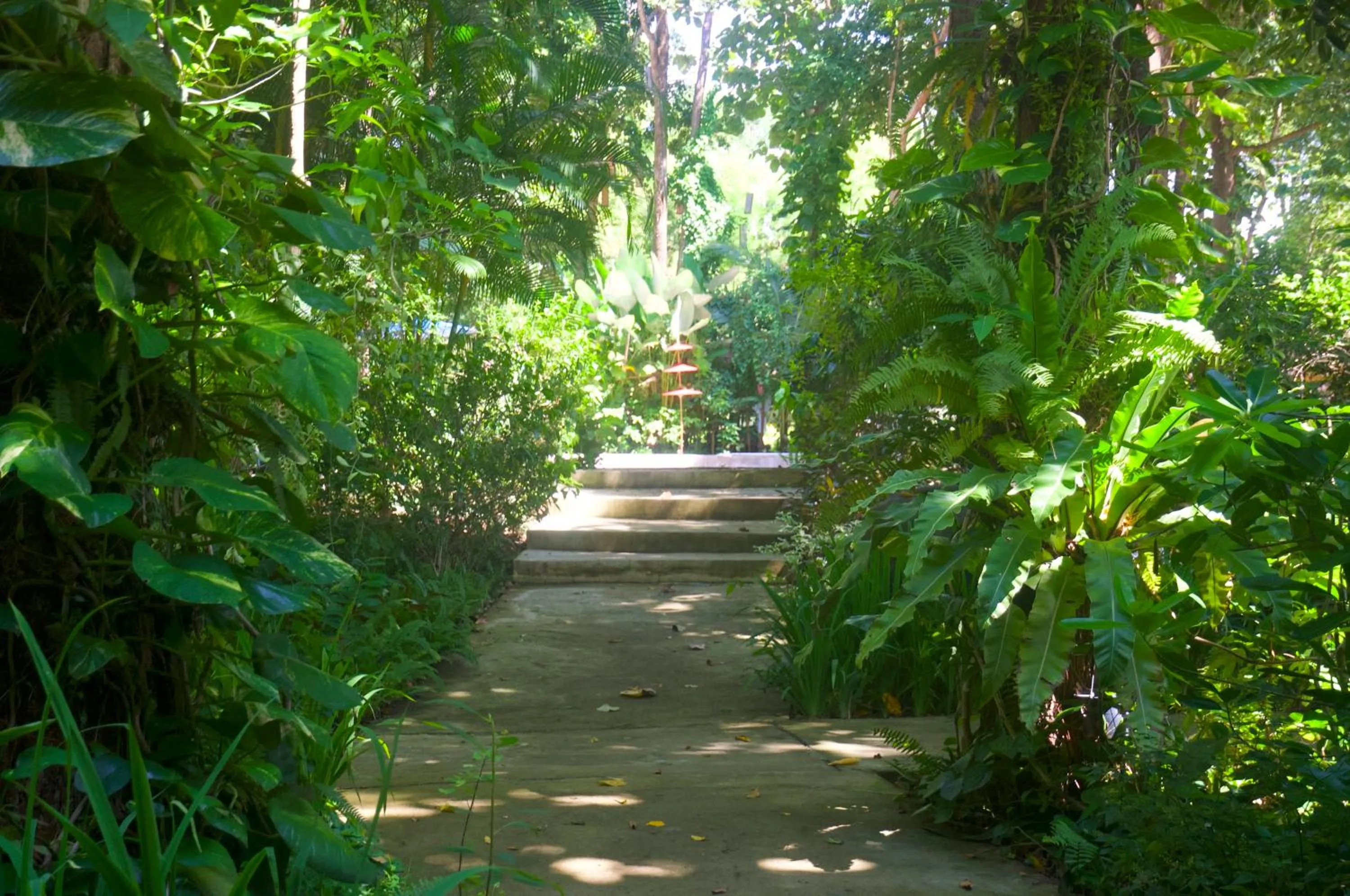 Garden in Monoceros Resort