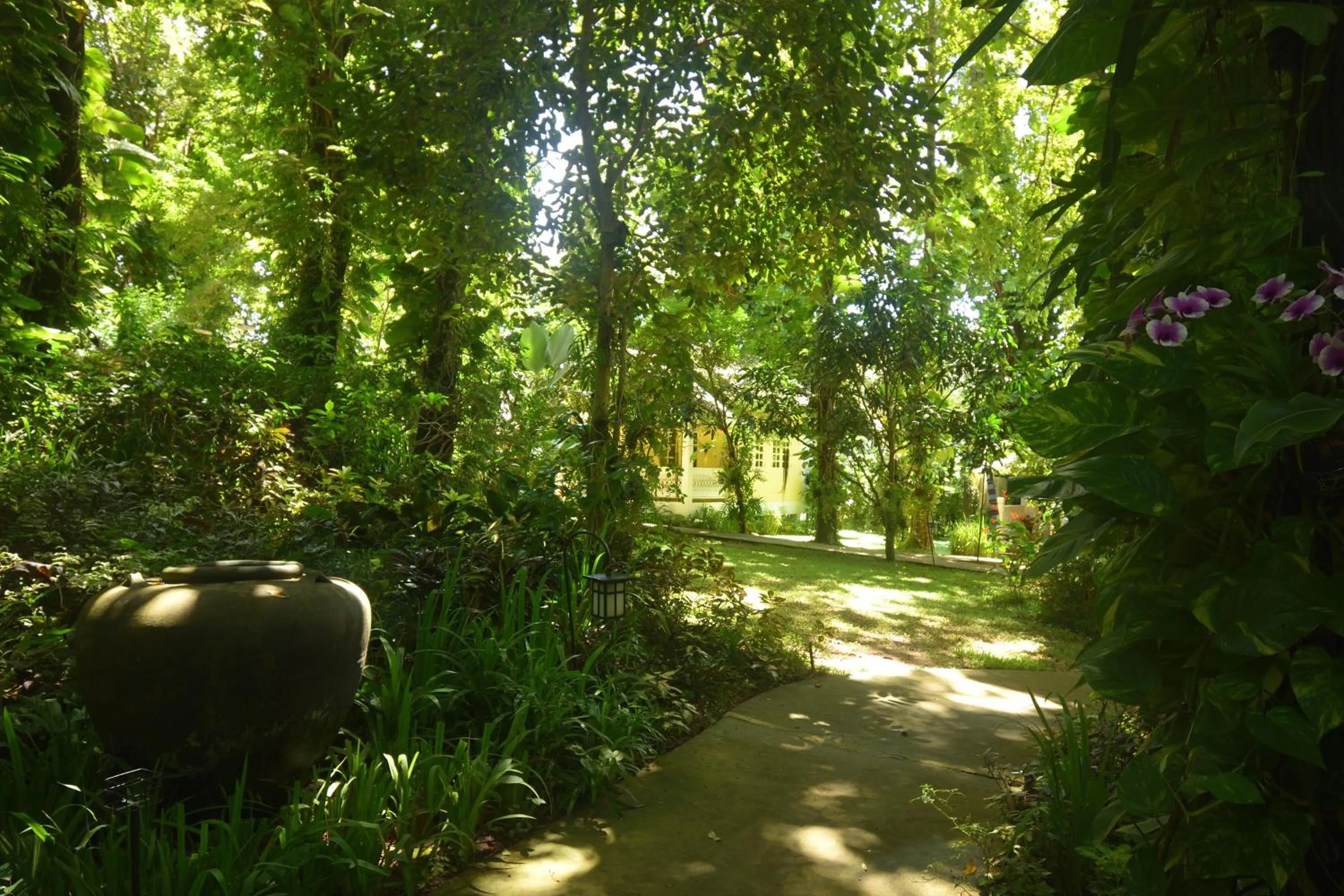 Garden in Monoceros Resort