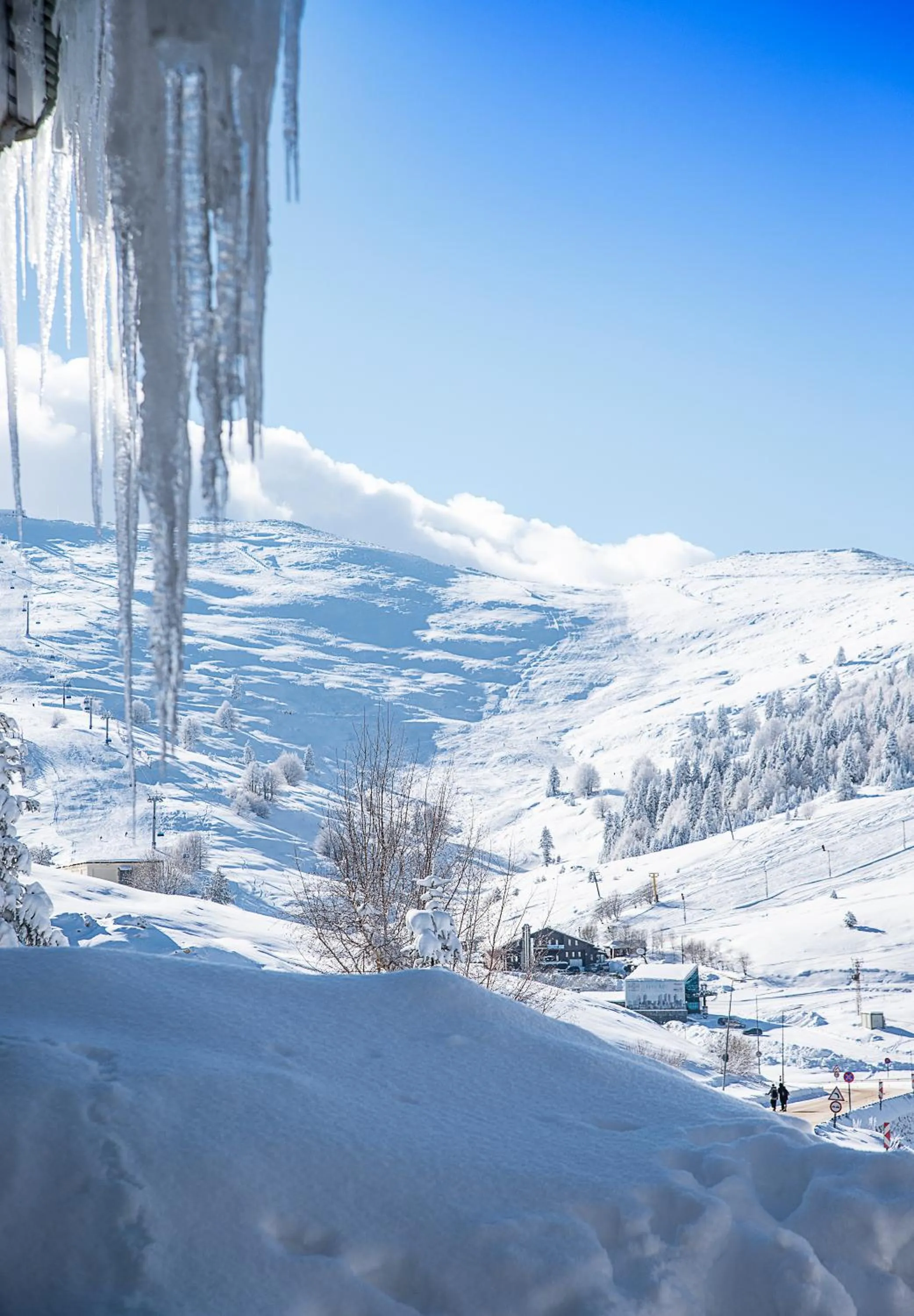 Natural landscape in Ağaoğlu My Mountain