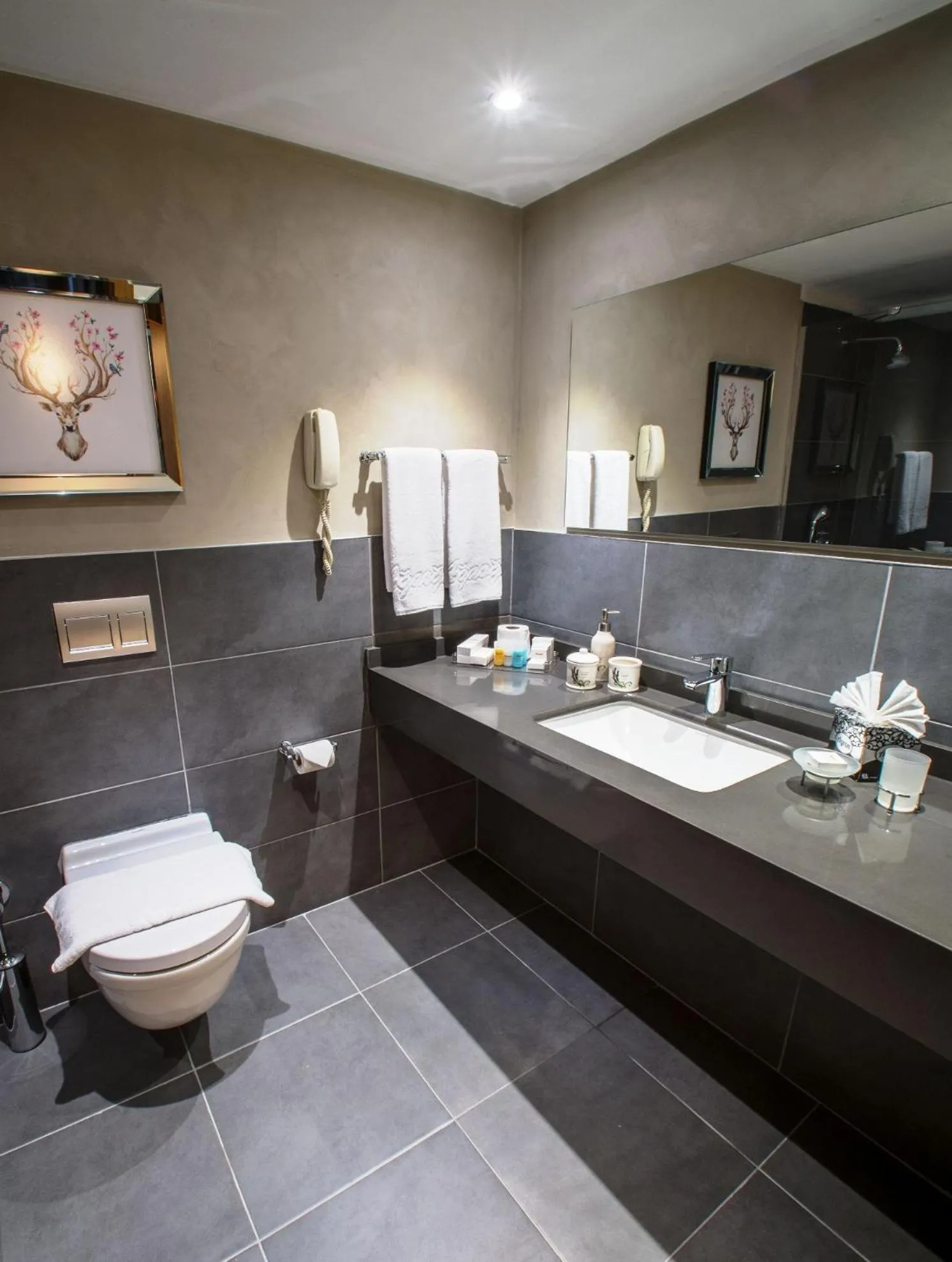 Toilet in Ağaoğlu My Mountain