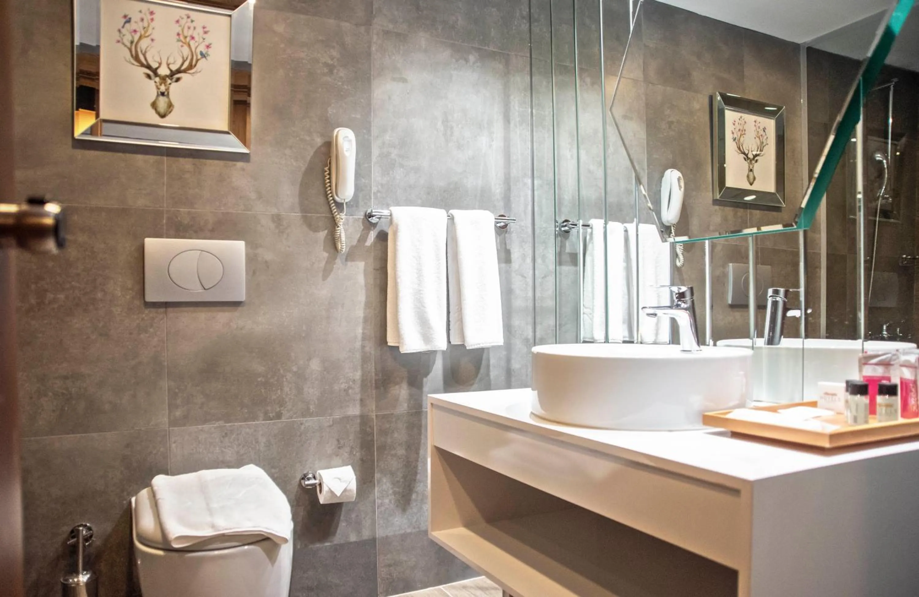 Photo of the whole room in Ağaoğlu My Mountain