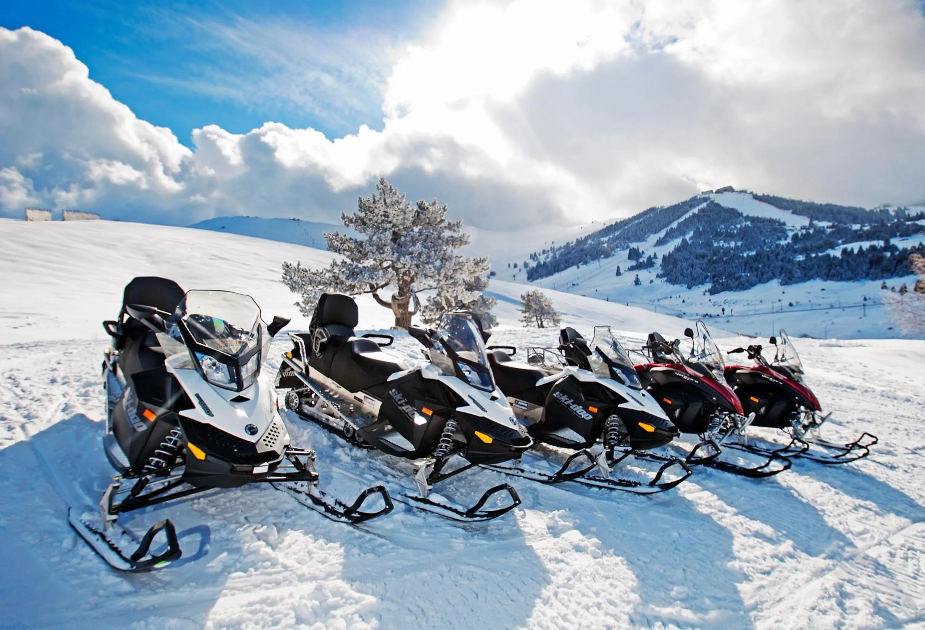 Activities in Ağaoğlu My Mountain