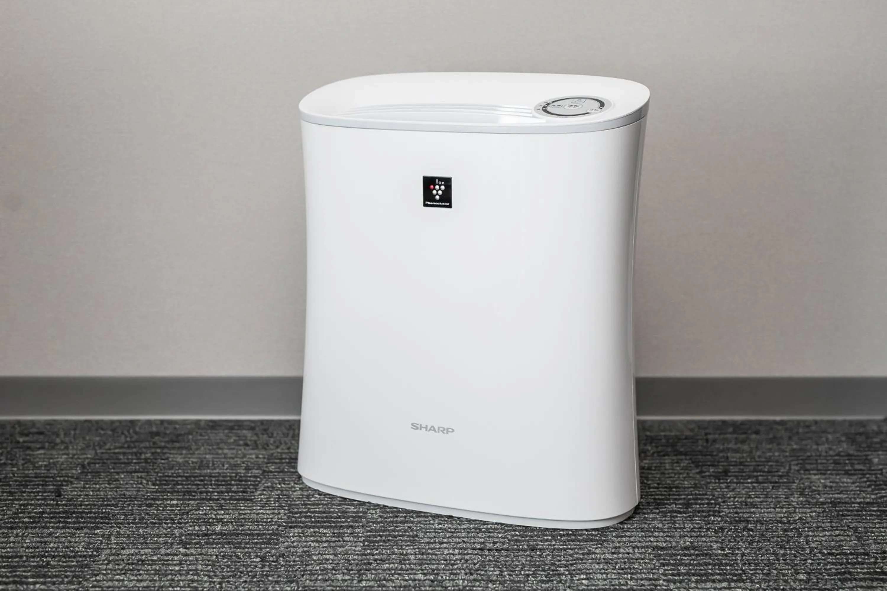 Photo of the whole room in Randor Residence Kyoto Nijo Castle