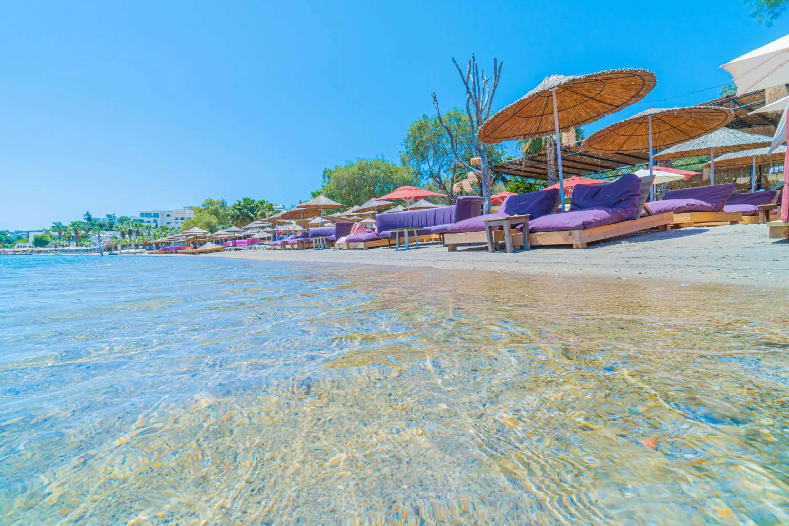 Beach in Alexander The Great Resort & Spa