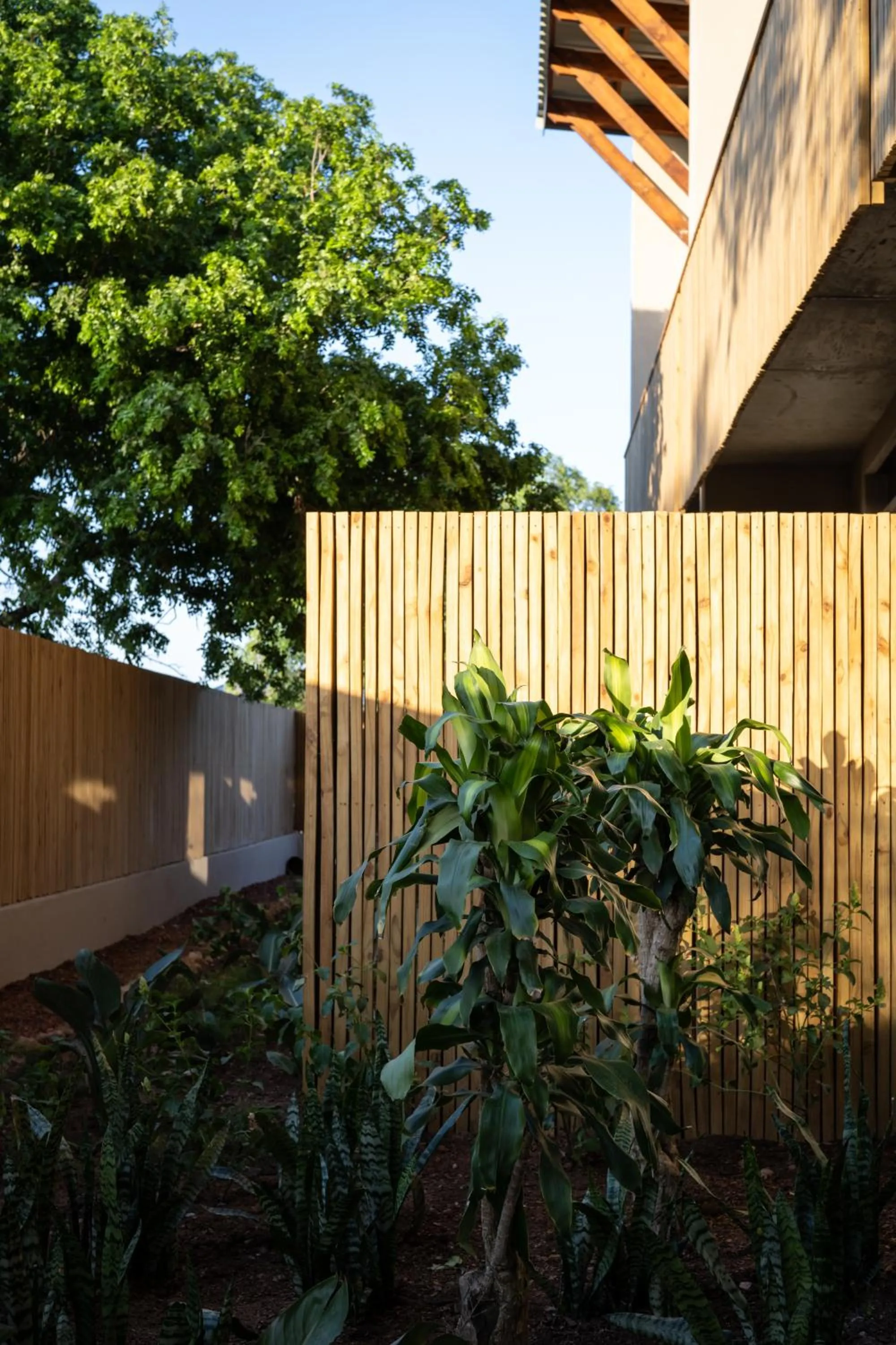 Garden in Khiwane Boutique Hotel