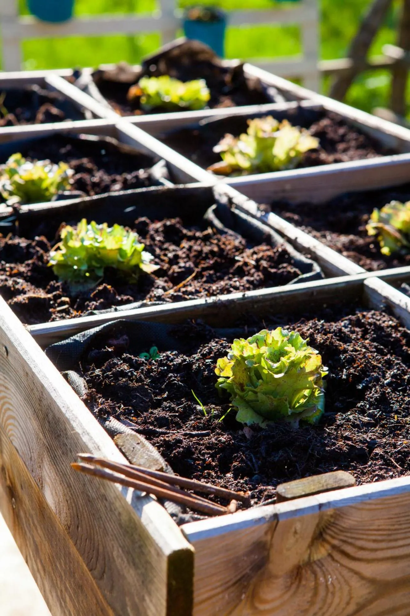 Garden in Cascina Bellaria