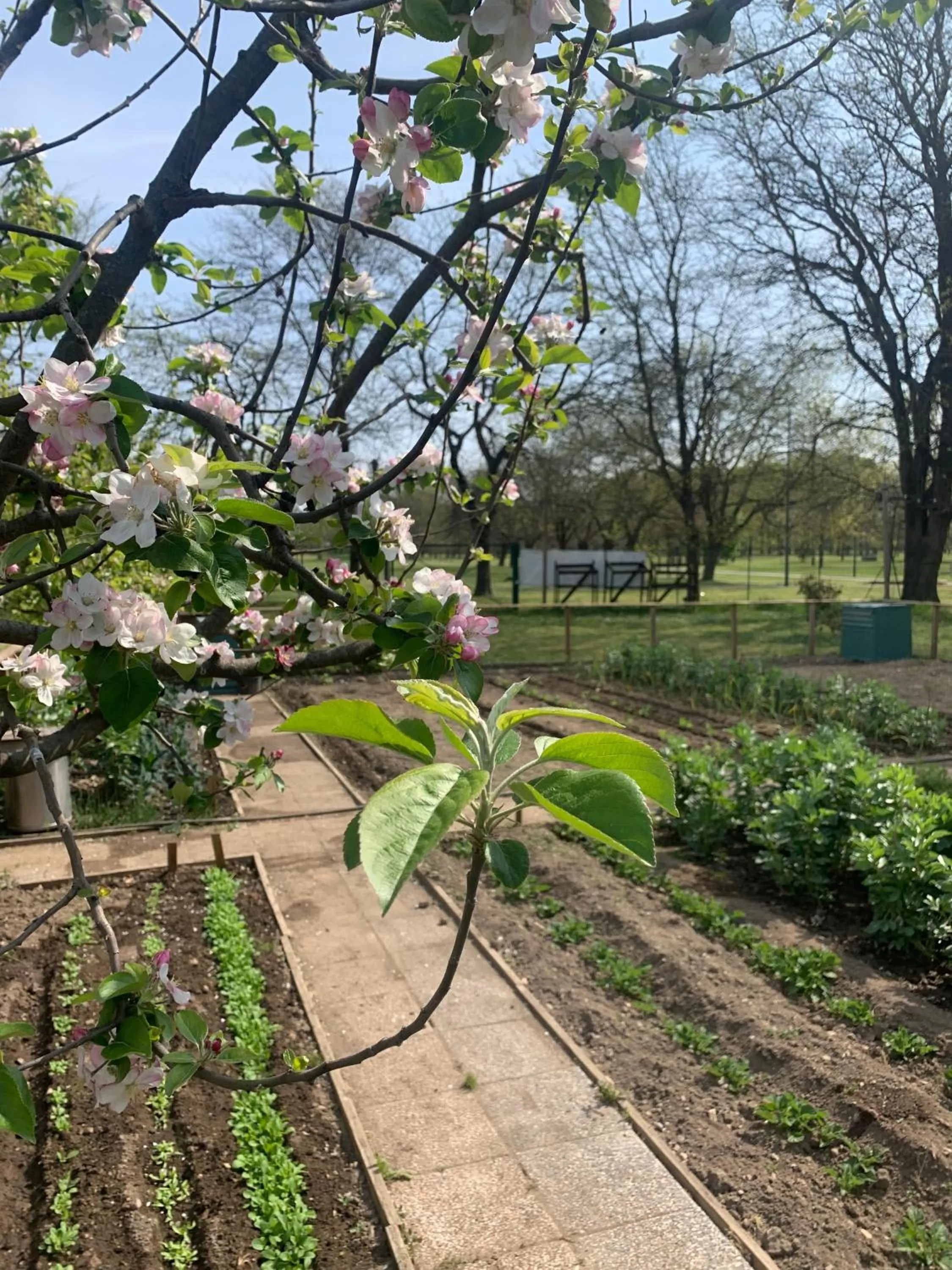 Garden in Cascina Bellaria