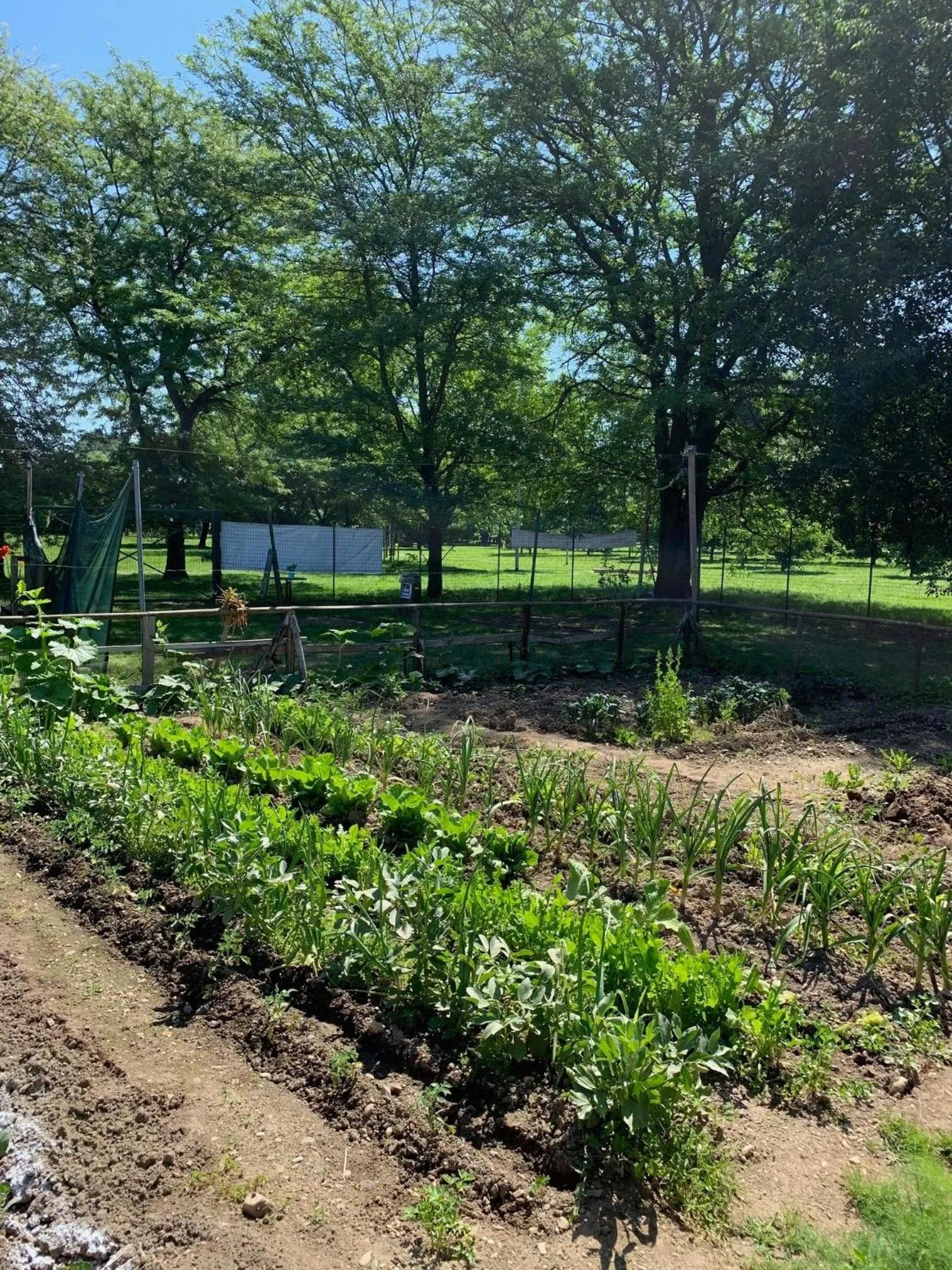 Garden in Cascina Bellaria
