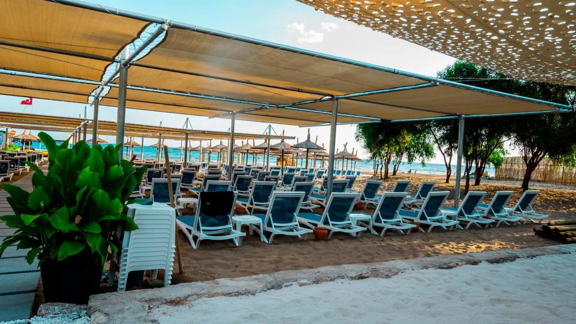 Day in Dream Water World