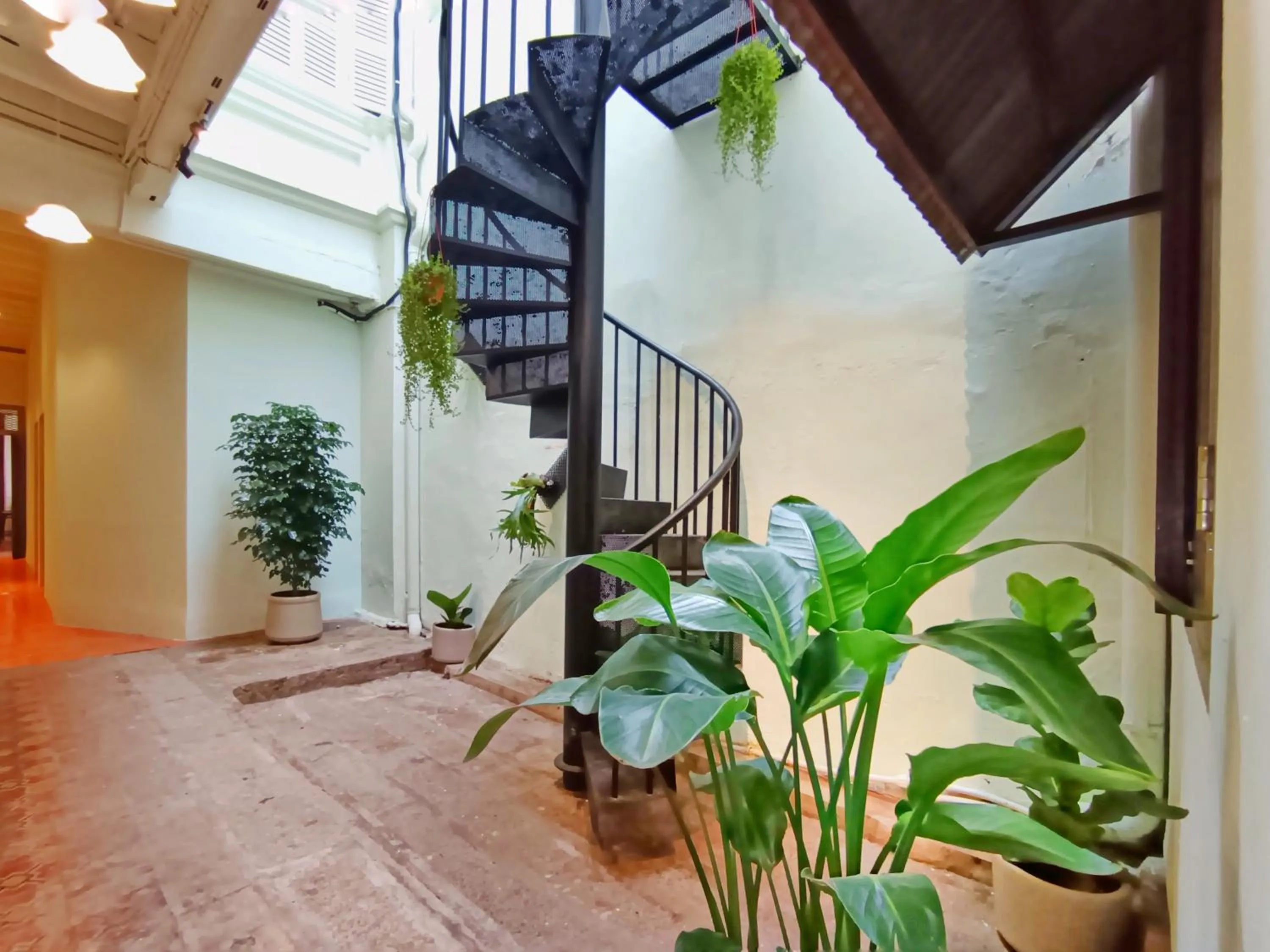 View (from property/room) in Pine Muntri