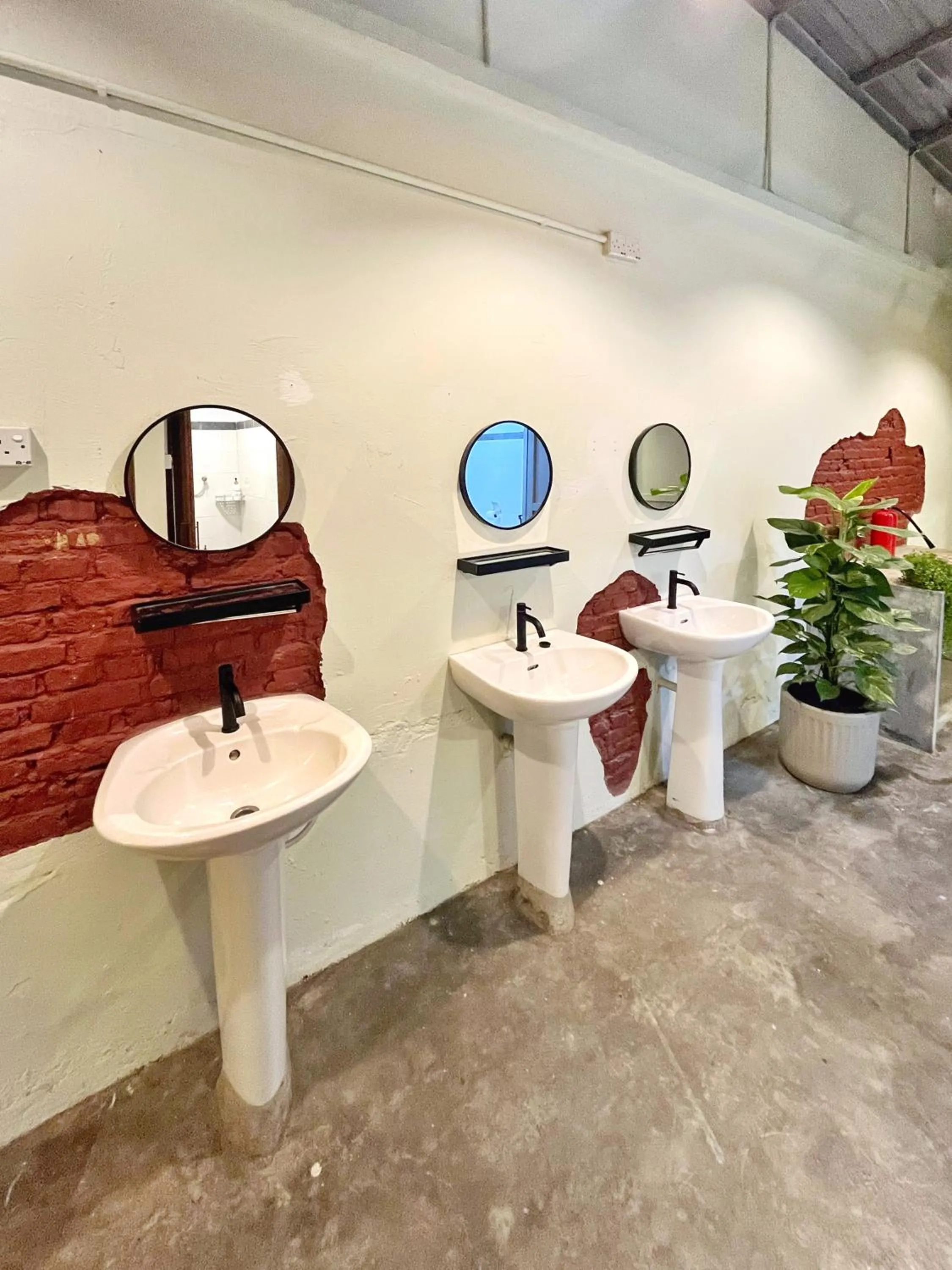 Toilet in Pine Muntri