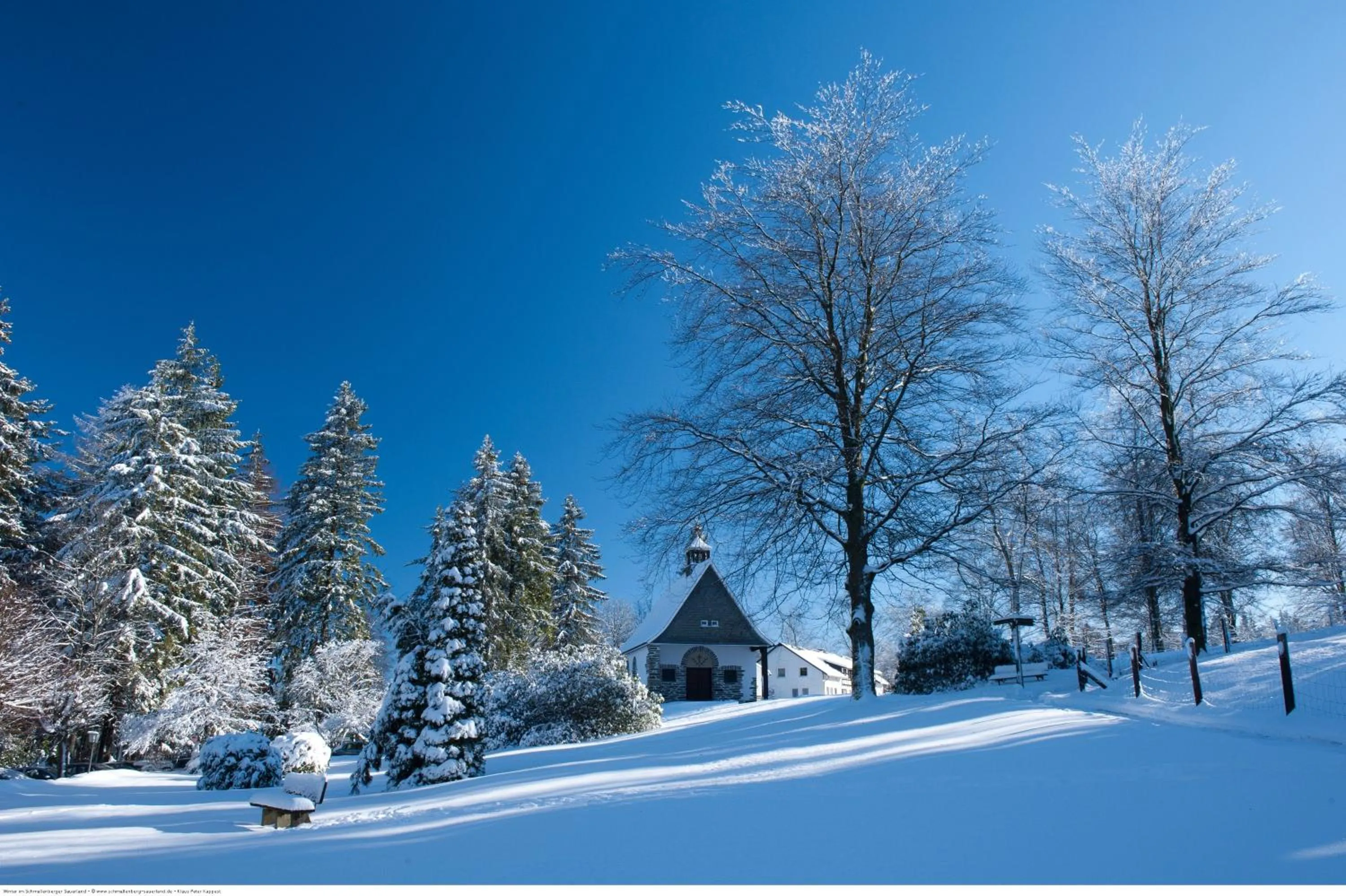 Natural landscape in Schieferhof