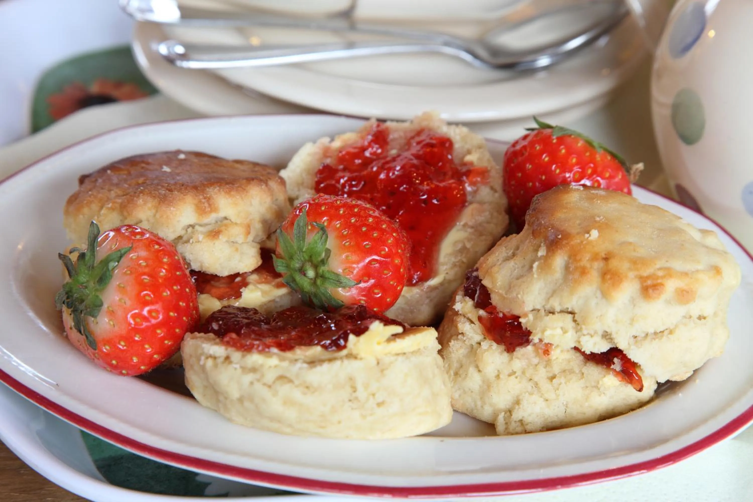 Food close-up in Dairy Barns