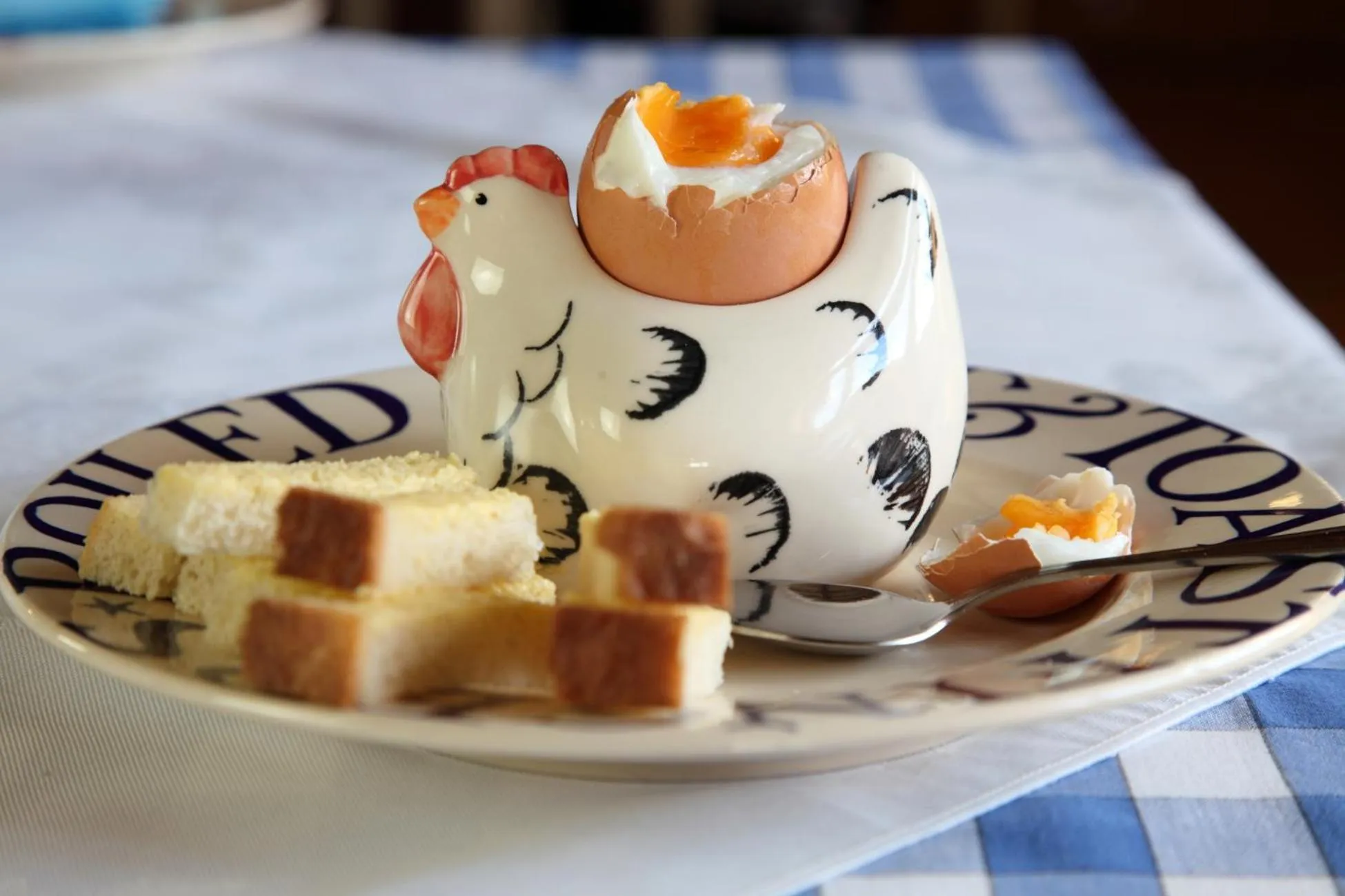 Food close-up in Dairy Barns