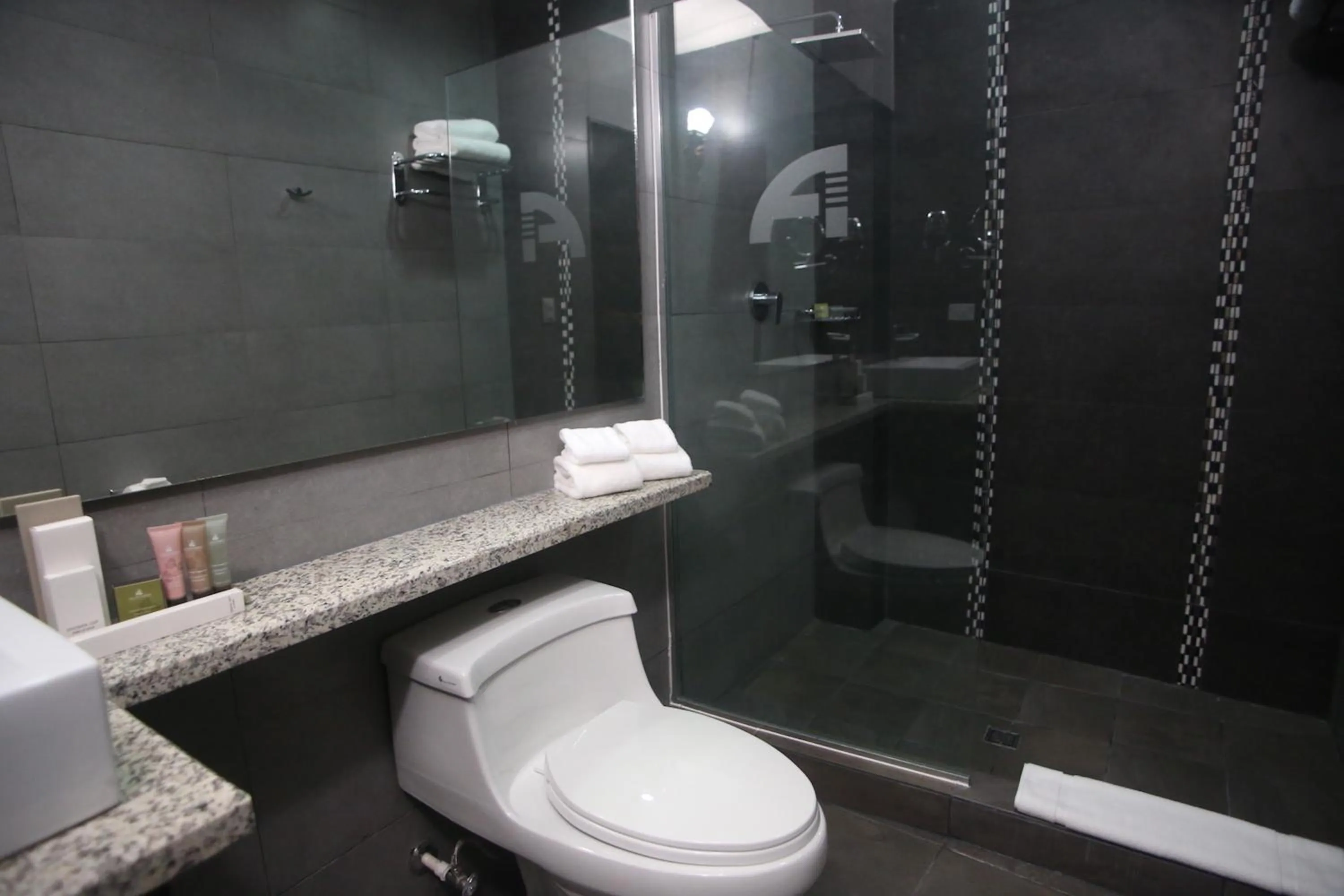 Shower in Aranjuez Hotel & Suites