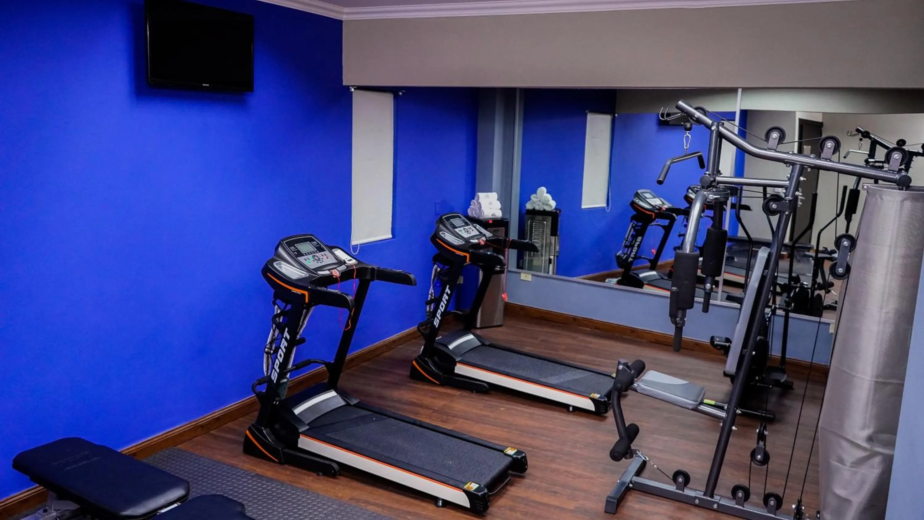Fitness centre/facilities in Aranjuez Hotel & Suites