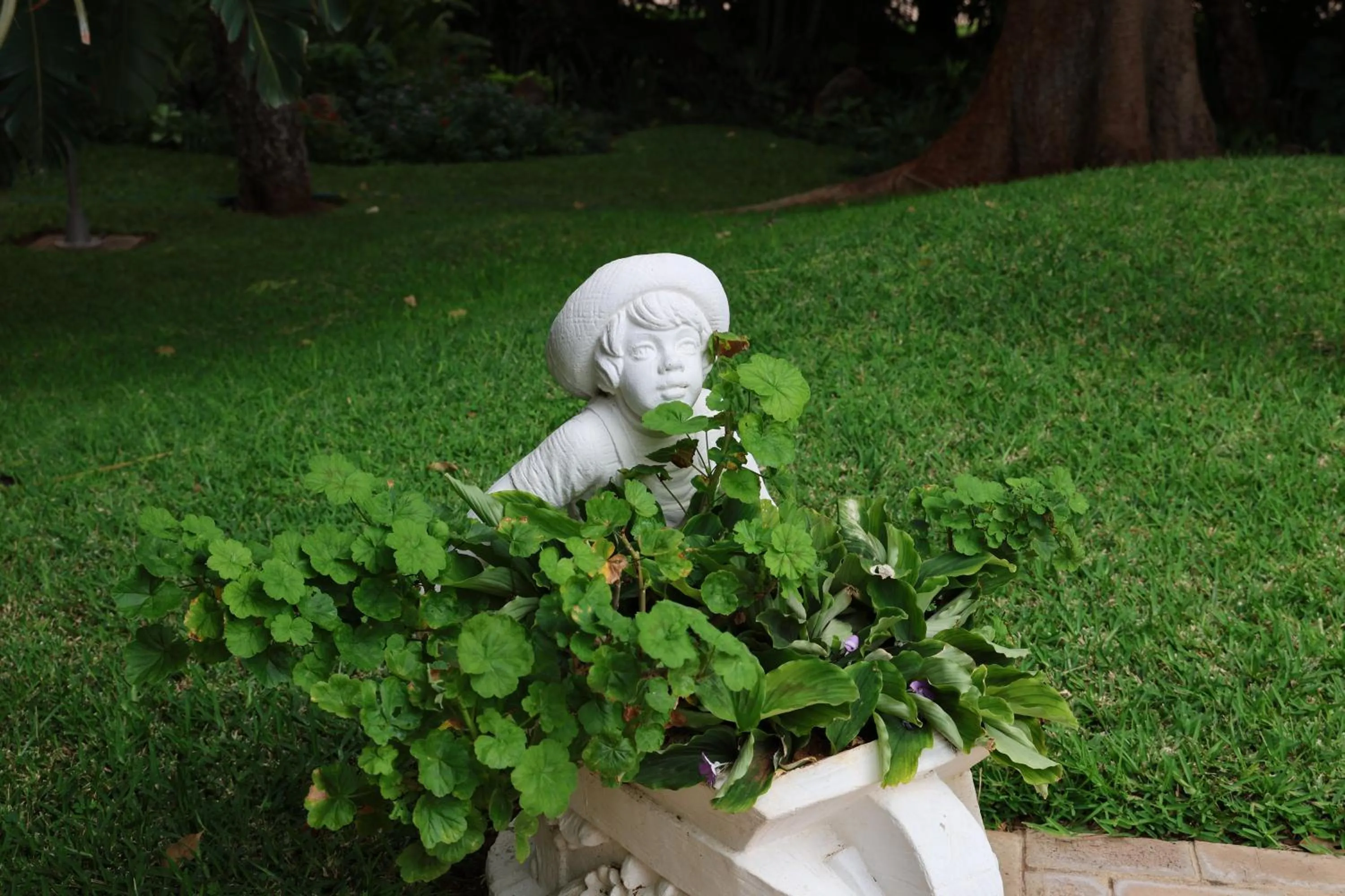 Garden in The Victorian Manor