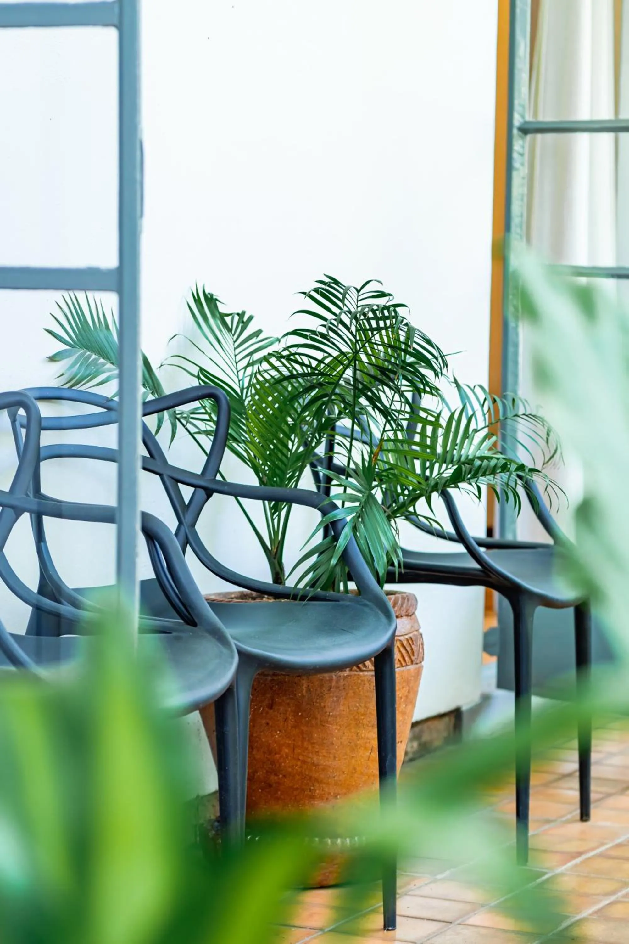 Property building in Zimbara