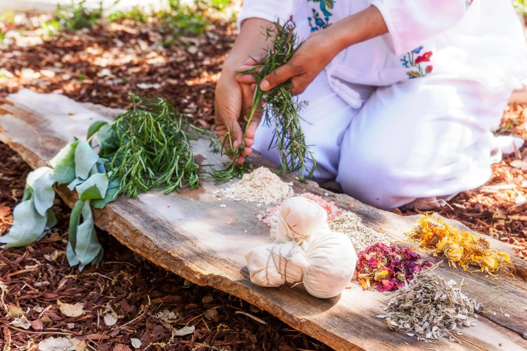 Activities in Luz Charming Houses