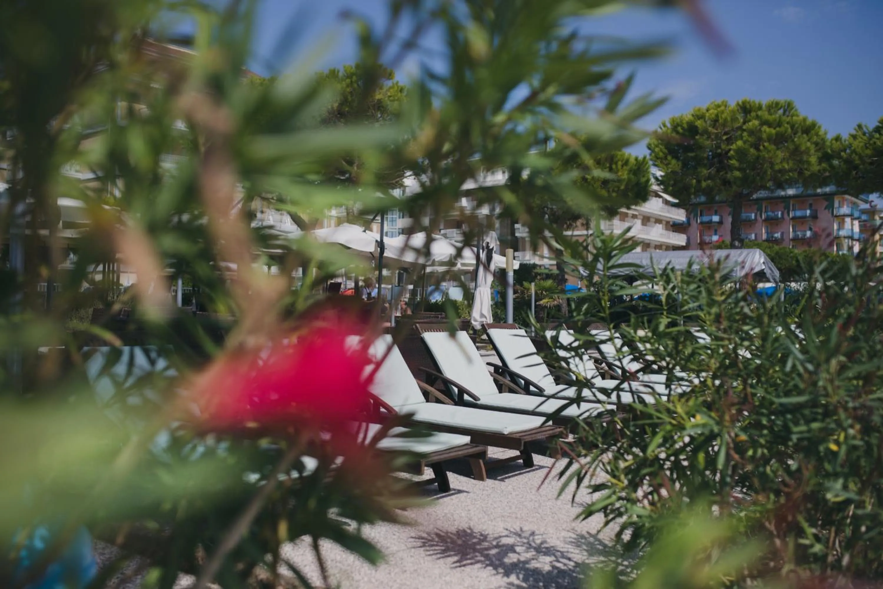 Garden in Hotel La Bussola