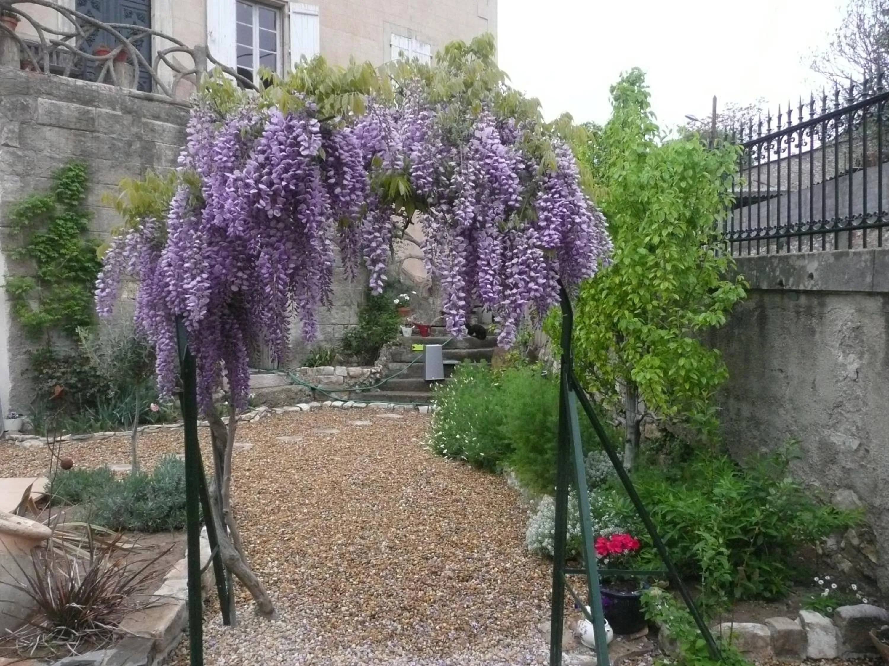 Garden in Clos du Magnolia