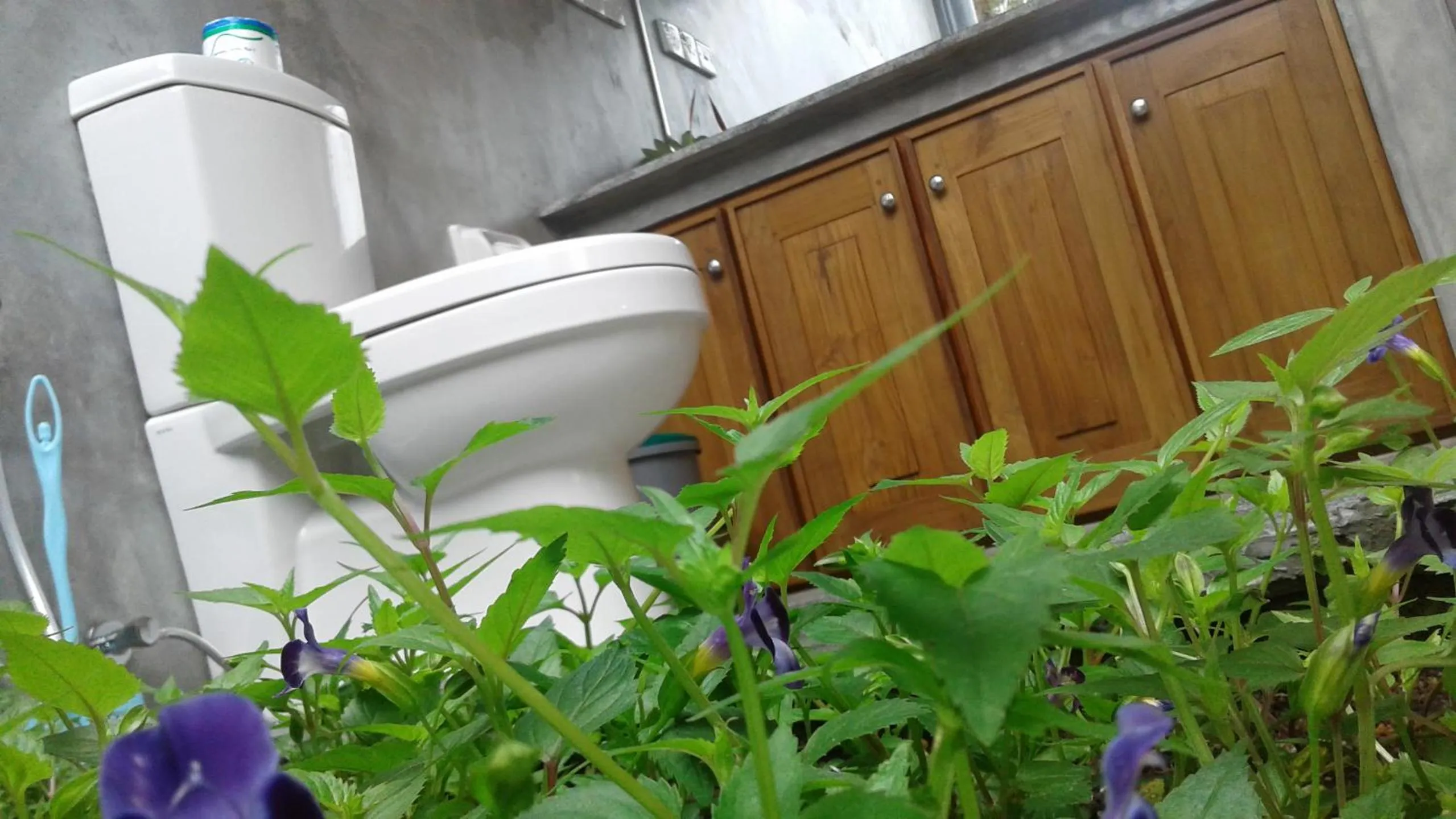 Toilet in Happy Man Village