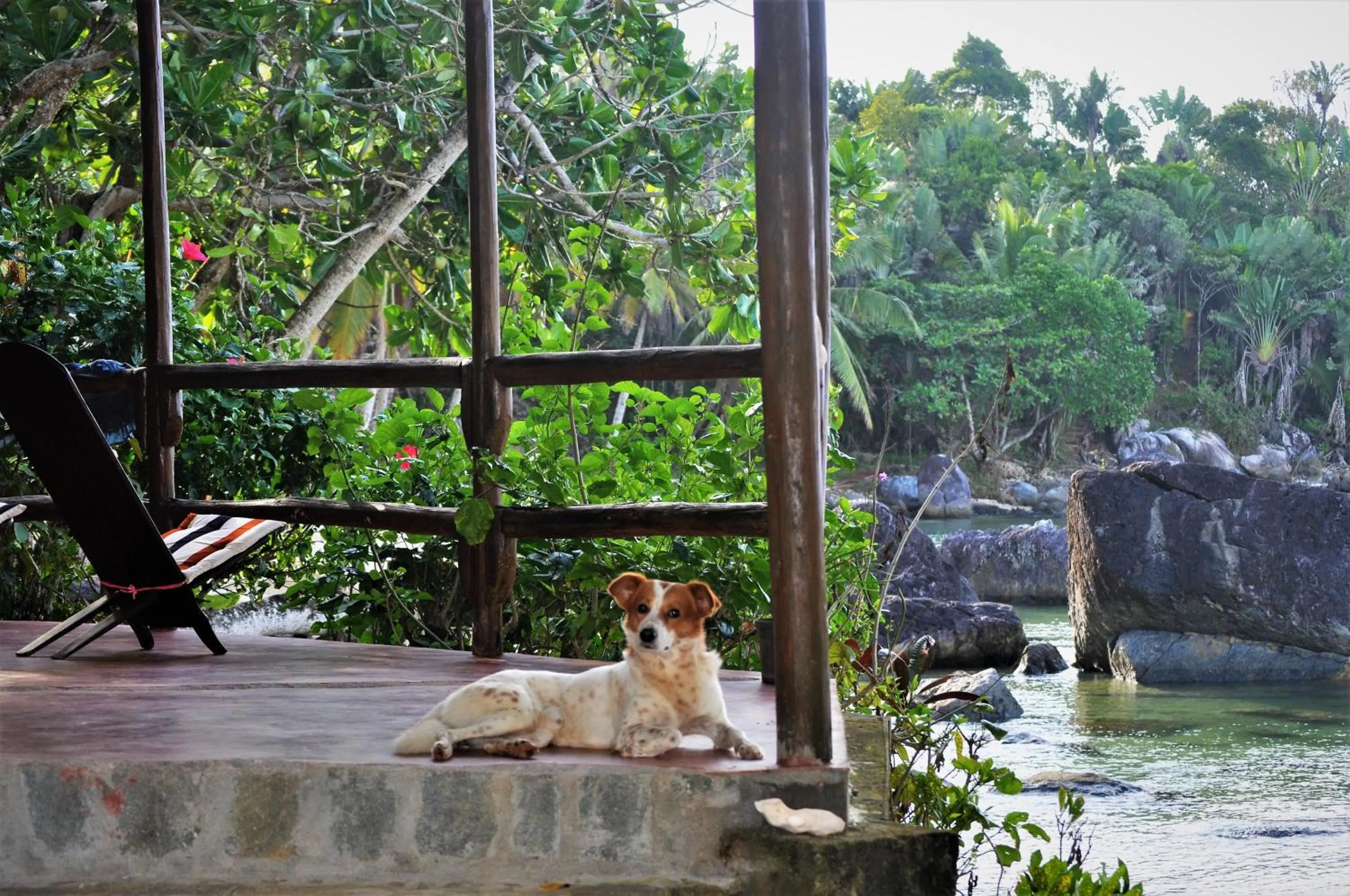 Apartment with Sea View in Natiora Green Lodge