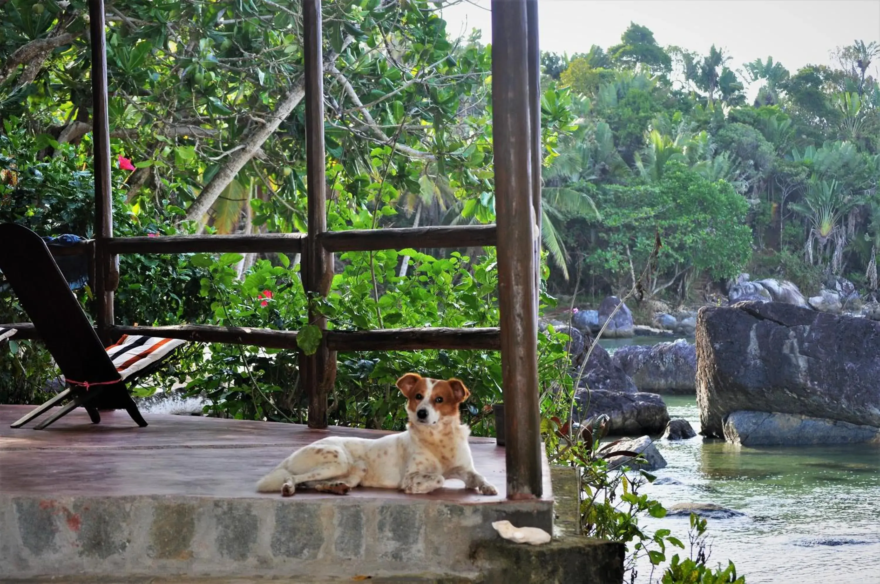 Apartment with Sea View in Natiora Green Lodge Apartment with Sea View in Natiora Green Lodge