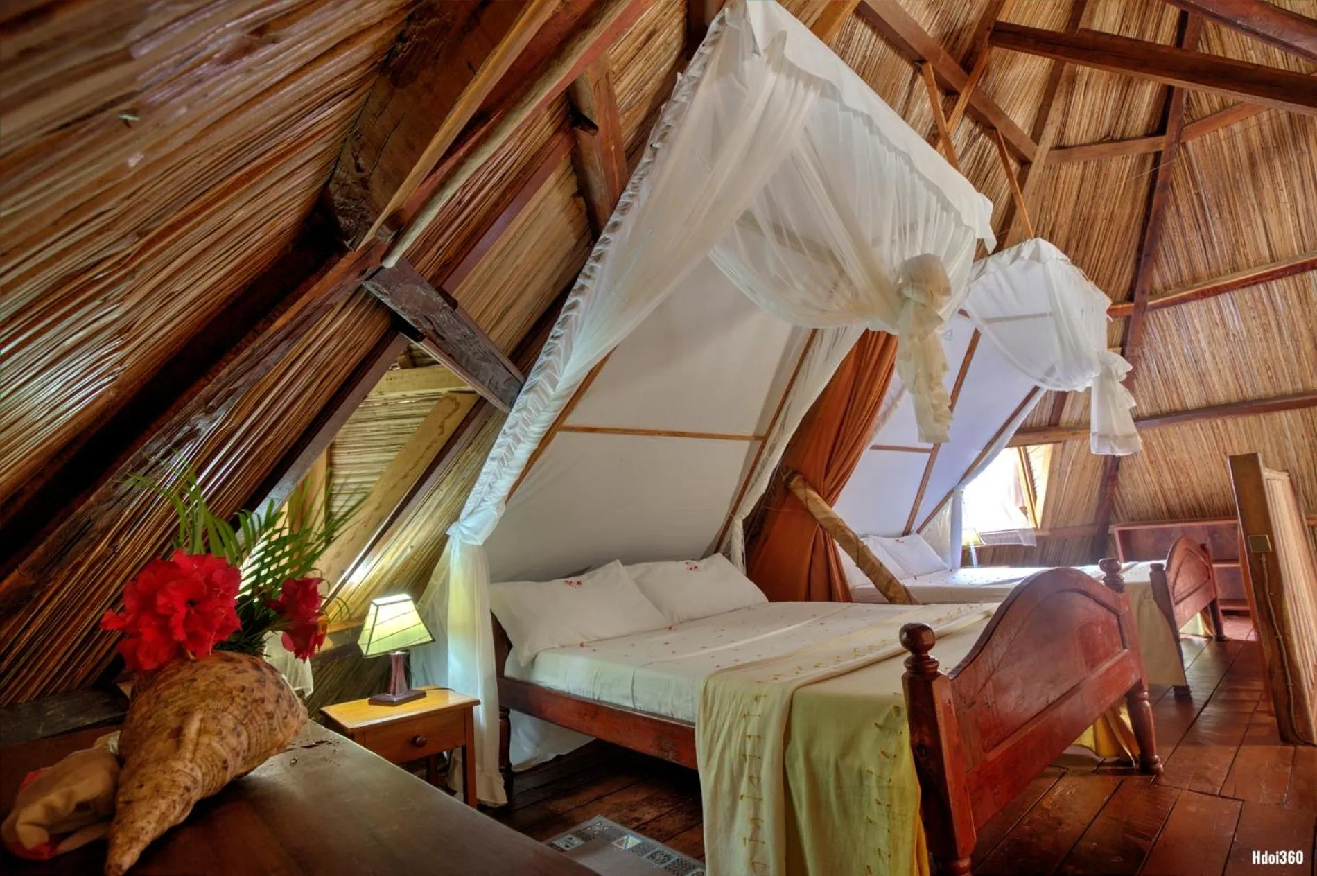 Photo of the whole room in Natiora Green Lodge