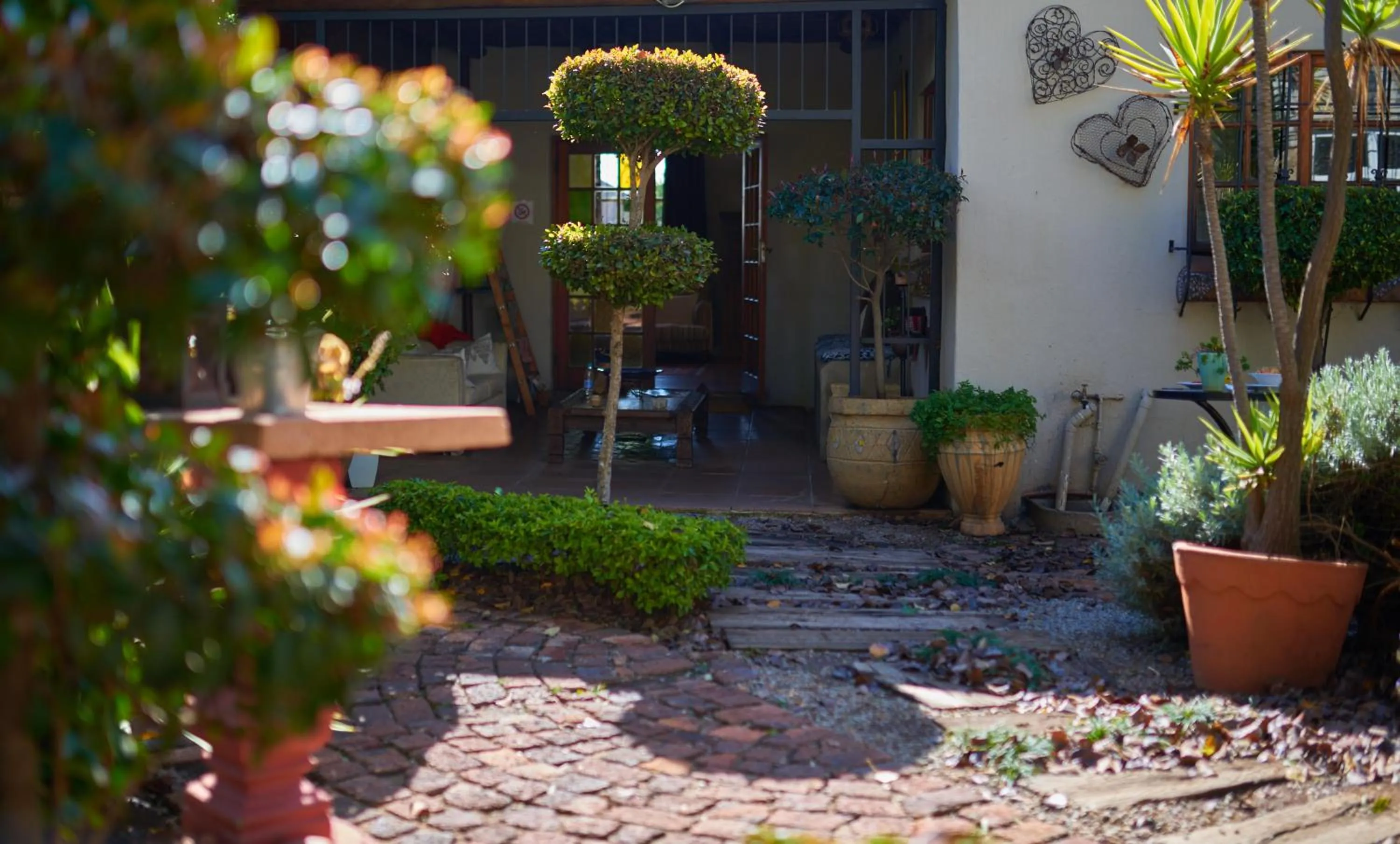 Garden in 84 on Fourth Guest House