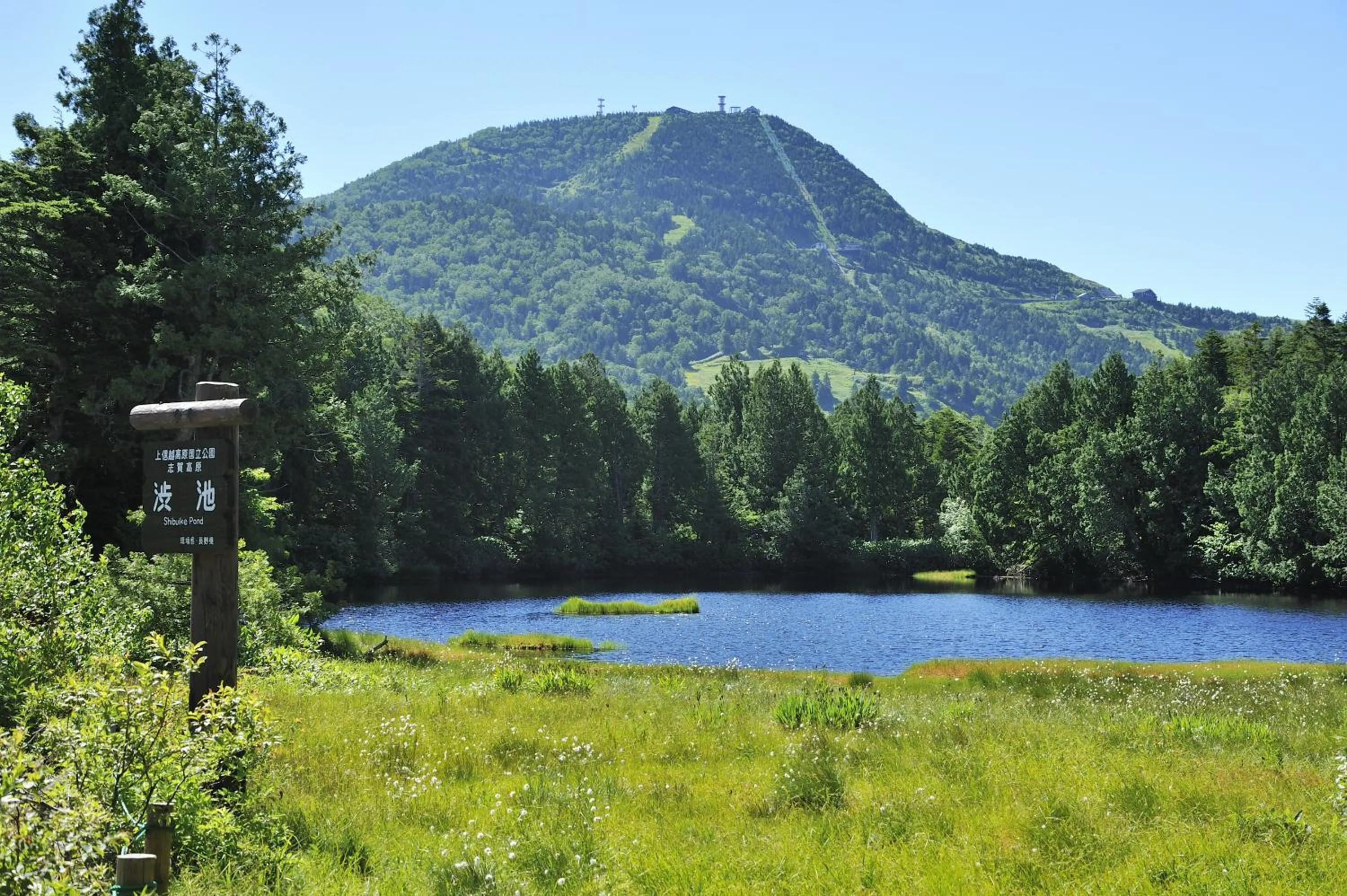 Natural landscape in Kumanoyu Hotel